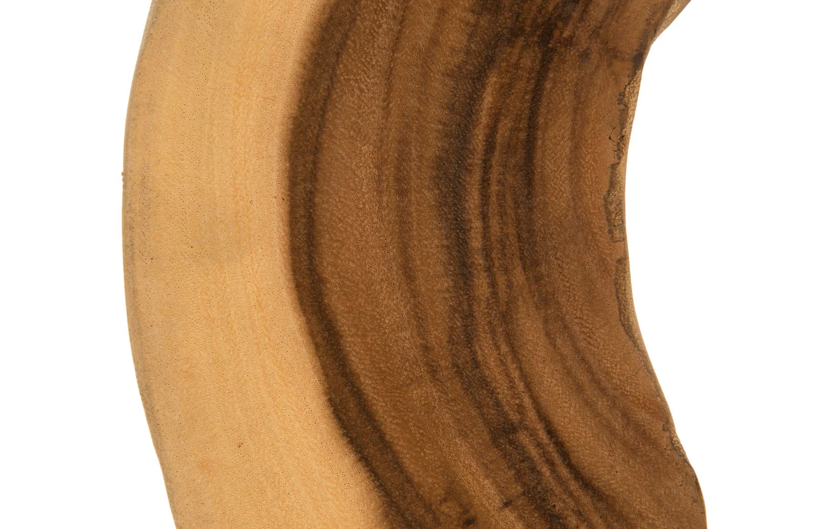 Phillips Collection Creature Sculpture on Stand, Natural - Image 3