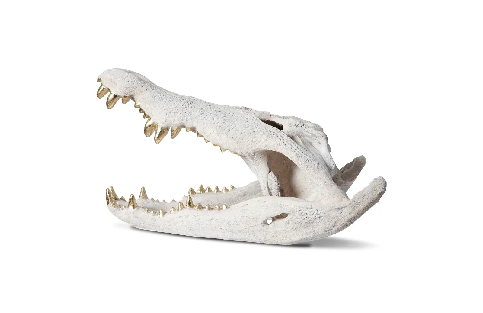 Phillips Collection Crocodile Skull, Roman Stone, Gold Leaf - Image 2