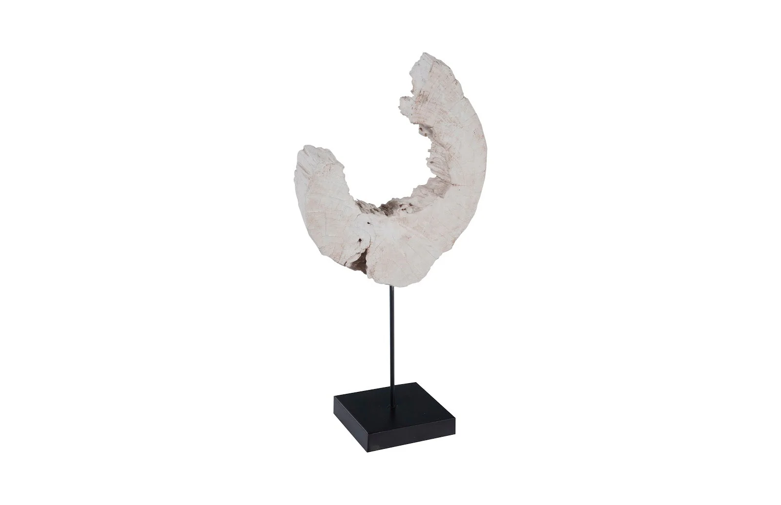 Phillips Collection Eroded Wood C Sculpture on Stand ,Assorted - Image 2