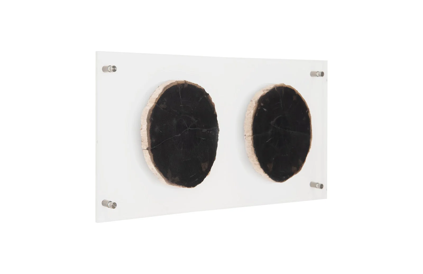 Phillips Collection Floating Petrified Double Slice Wall Art - Image 5