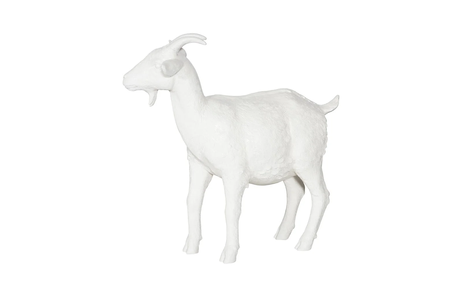 Phillips Collection Goat, Off White