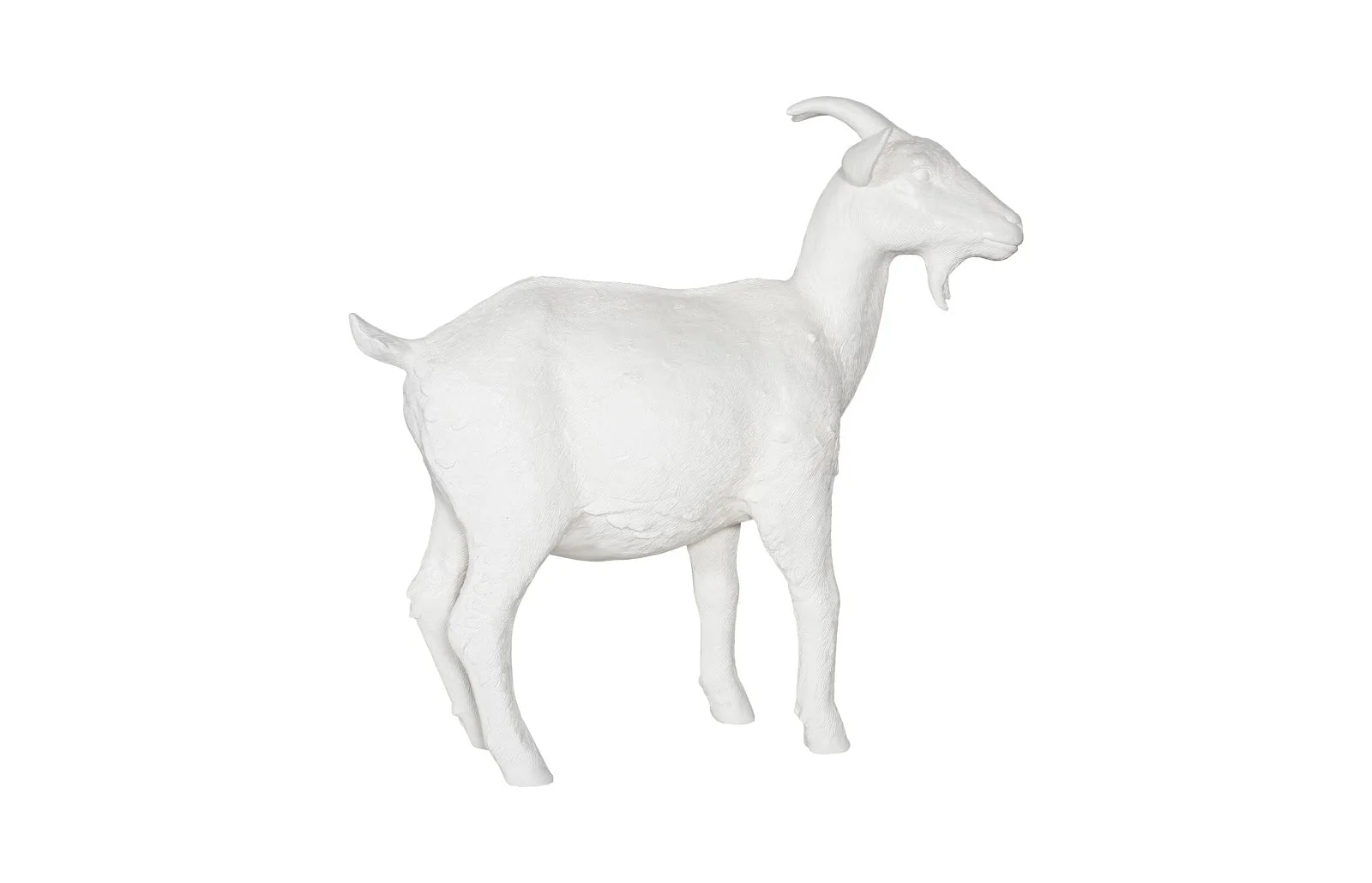 Phillips Collection Goat, Off White - Image 2