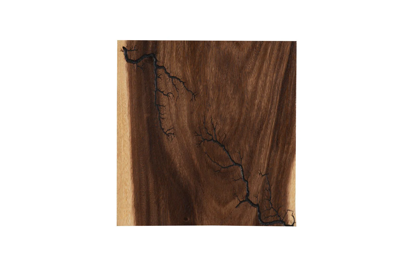 Phillips Collection Lightning Wall Tile, Chamcha Wood - Image 3