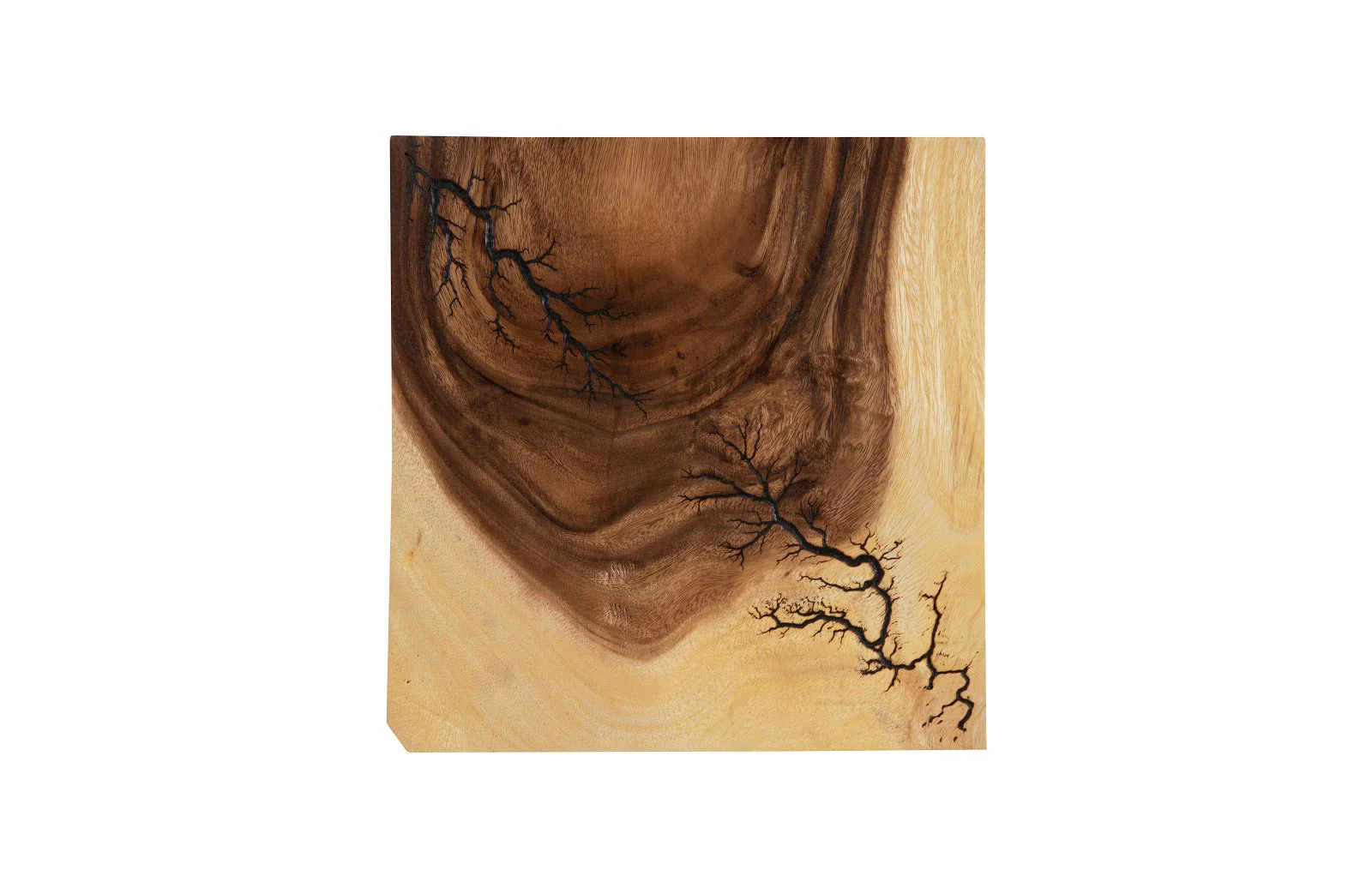 Phillips Collection Lightning Wall Tile, Chamcha Wood - Image 4