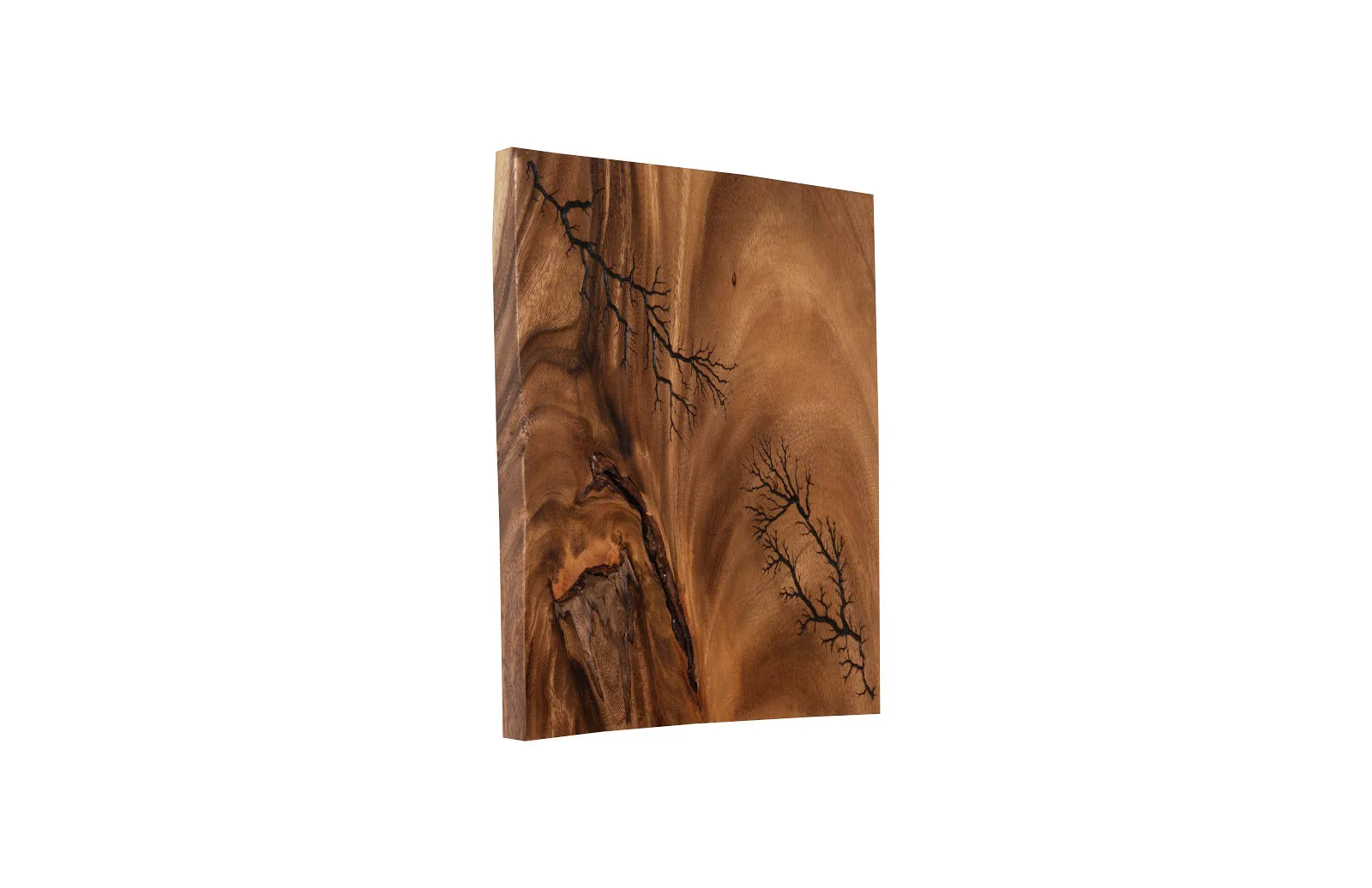 Phillips Collection Lightning Wall Tile, Chamcha Wood - Image 5