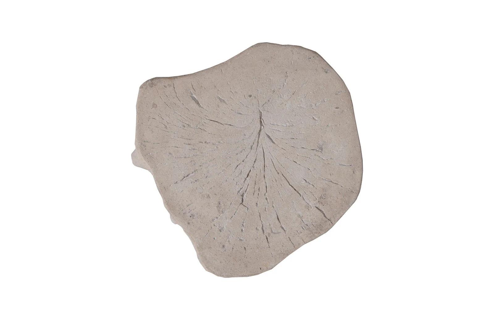 Phillips Collection Log Stool, Roman Stone, SM - Image 3