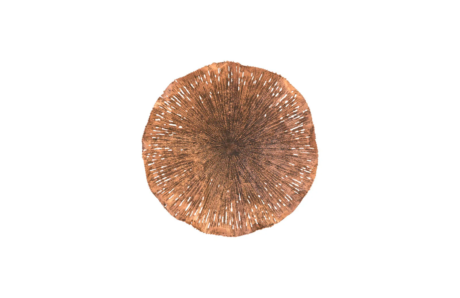 Phillips Collection Lotus Wall Art, Copper/Black, MD