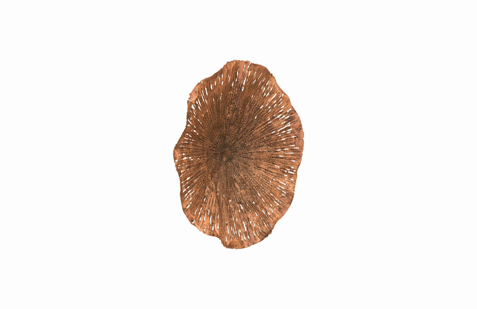 Phillips Collection Lotus Wall Art, Copper/Black, MD - Image 2
