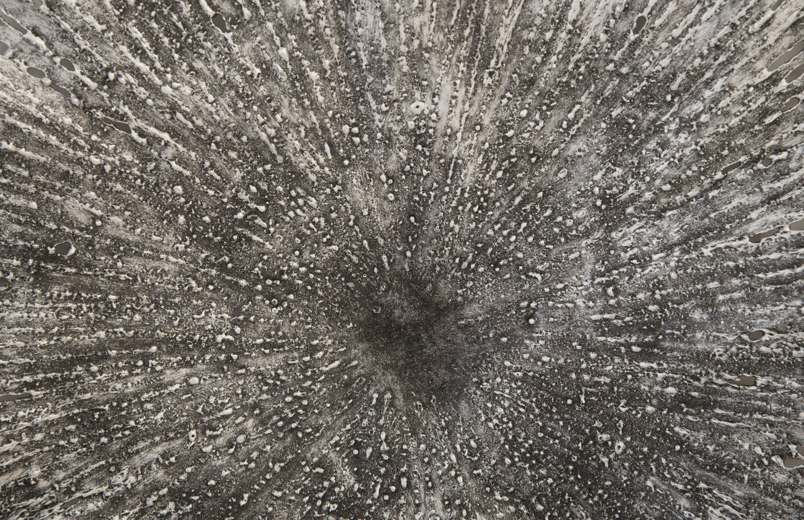 Phillips Collection Lotus Wall Art, Silver/Black, MD - Image 2