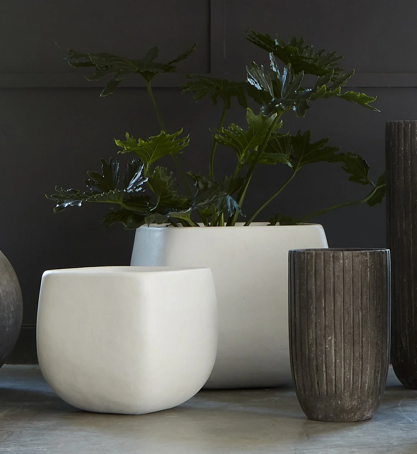 Phillips Collection Lourdes Planter, Medium, Gray - Image 3