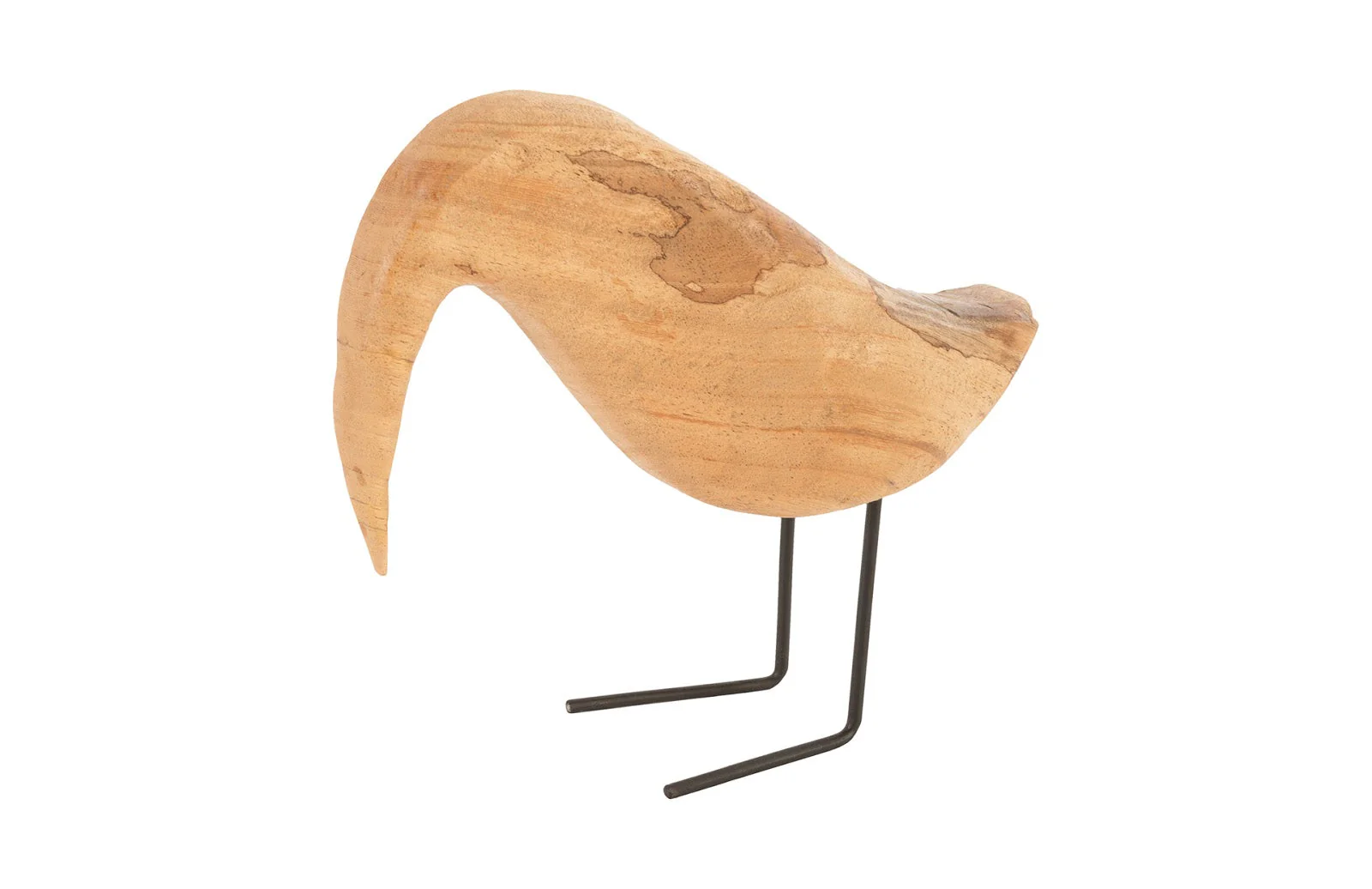 Phillips Collection Natural Bird