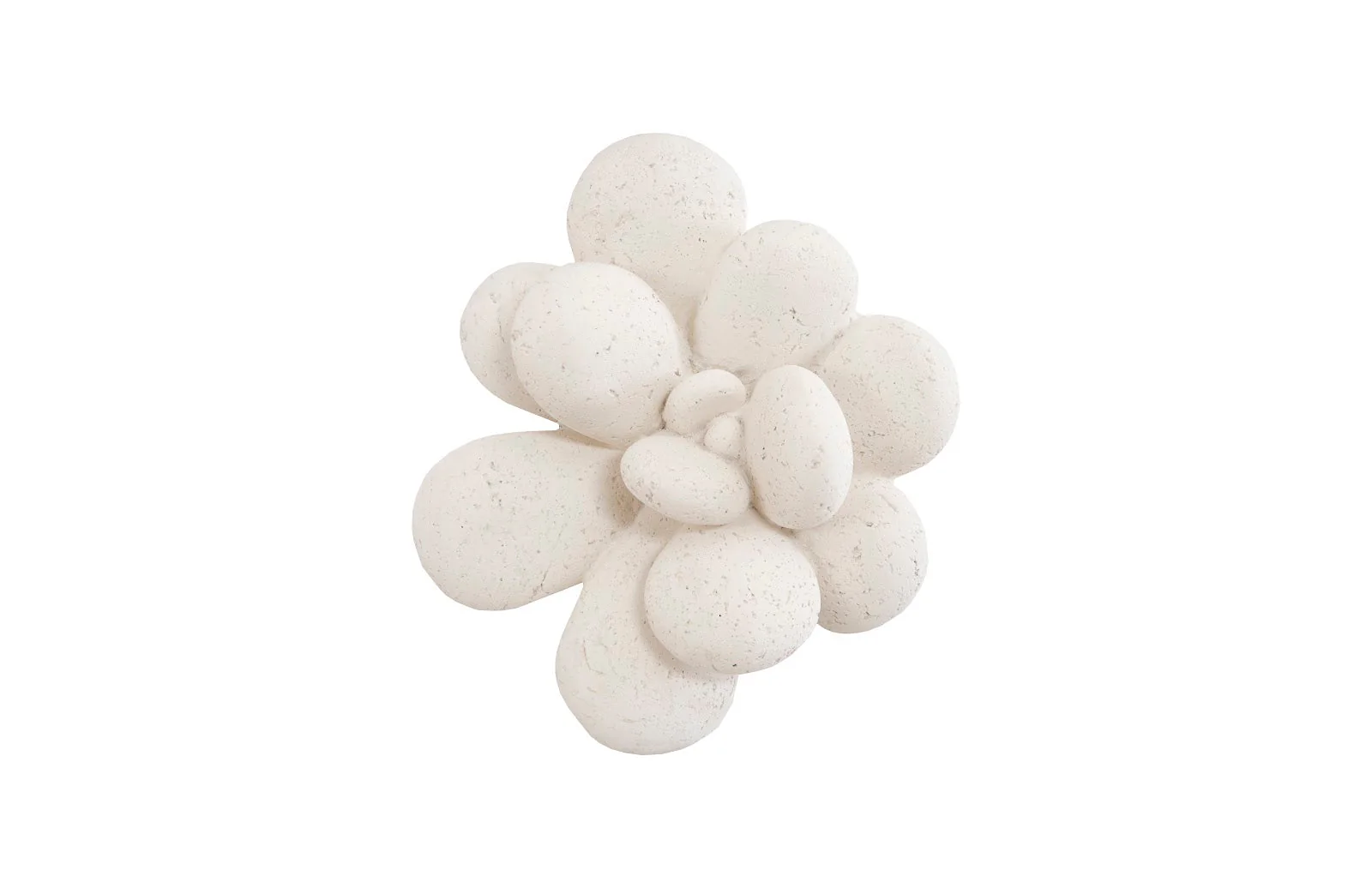 Phillips Collection Oviferum Succulent Wall Art , White Stone