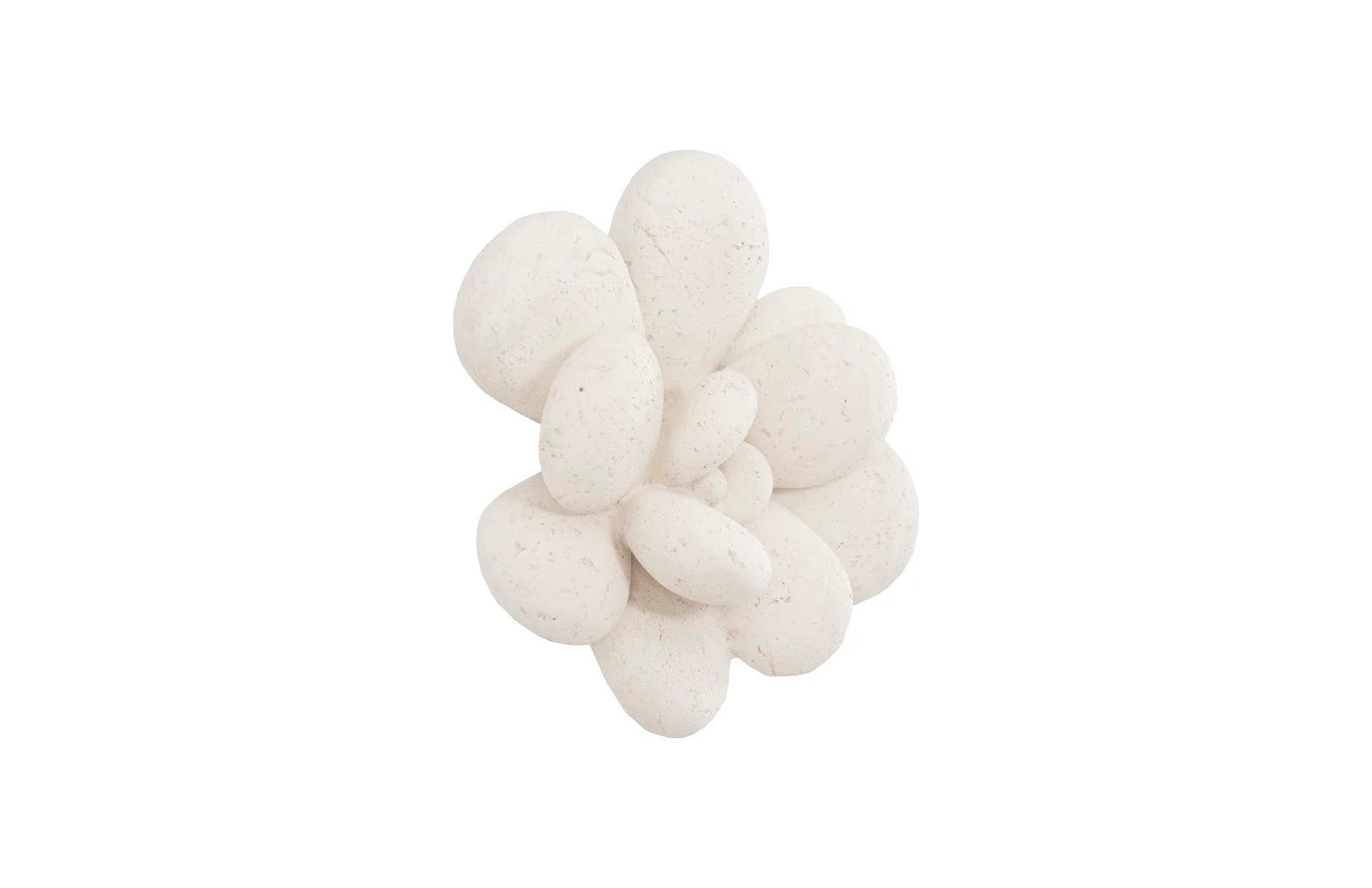 Phillips Collection Oviferum Succulent Wall Art , White Stone - Image 2