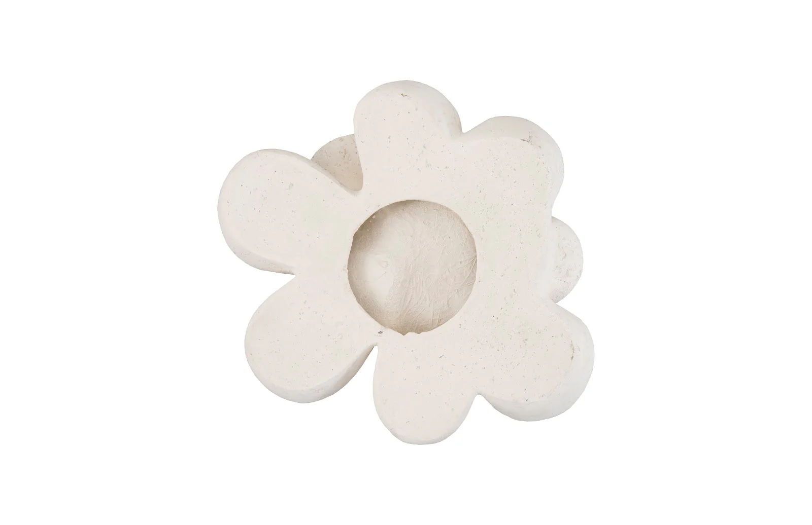 Phillips Collection Oviferum Succulent Wall Art , White Stone - Image 3