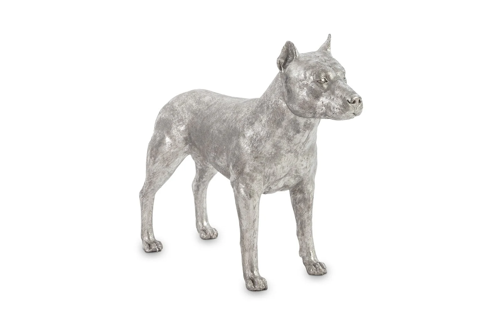 Phillips Collection Pit Bull, Dog, Silver Leaf