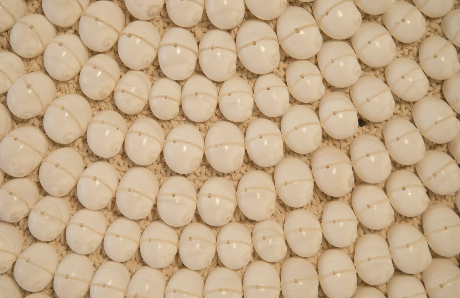 Phillips Collection Shell Necklace Sculpture, on stand - Image 3