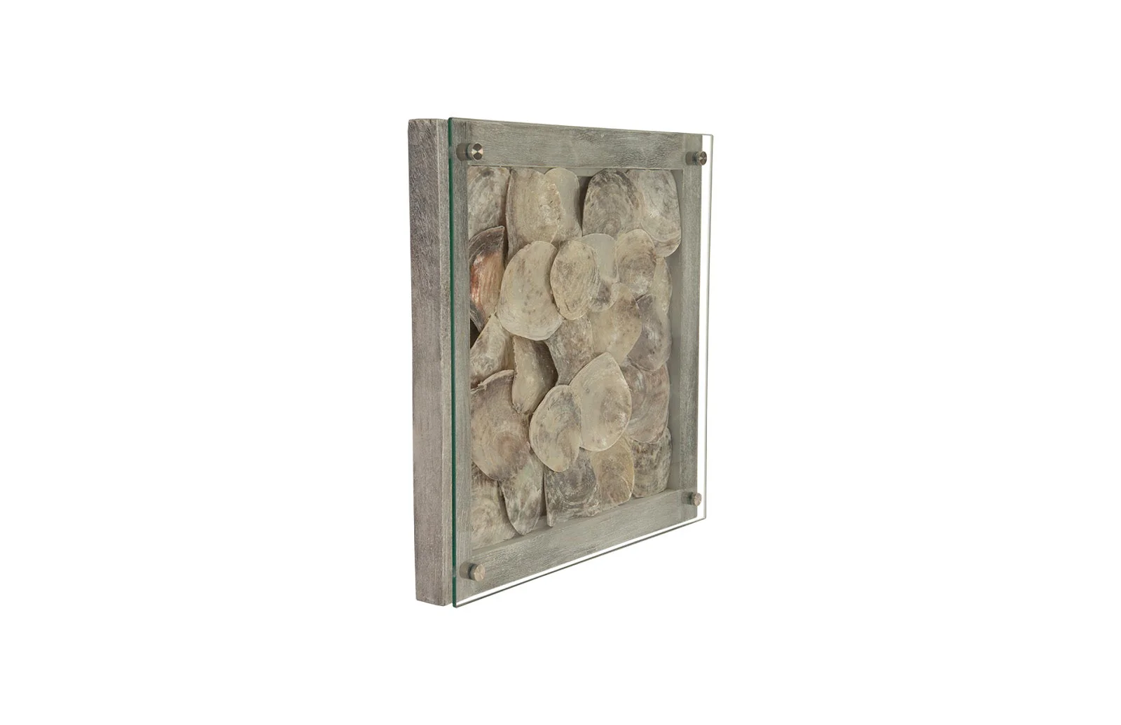 Phillips Collection Shell Wall Tile, w/Glass - CLOSEOUT - Image 2