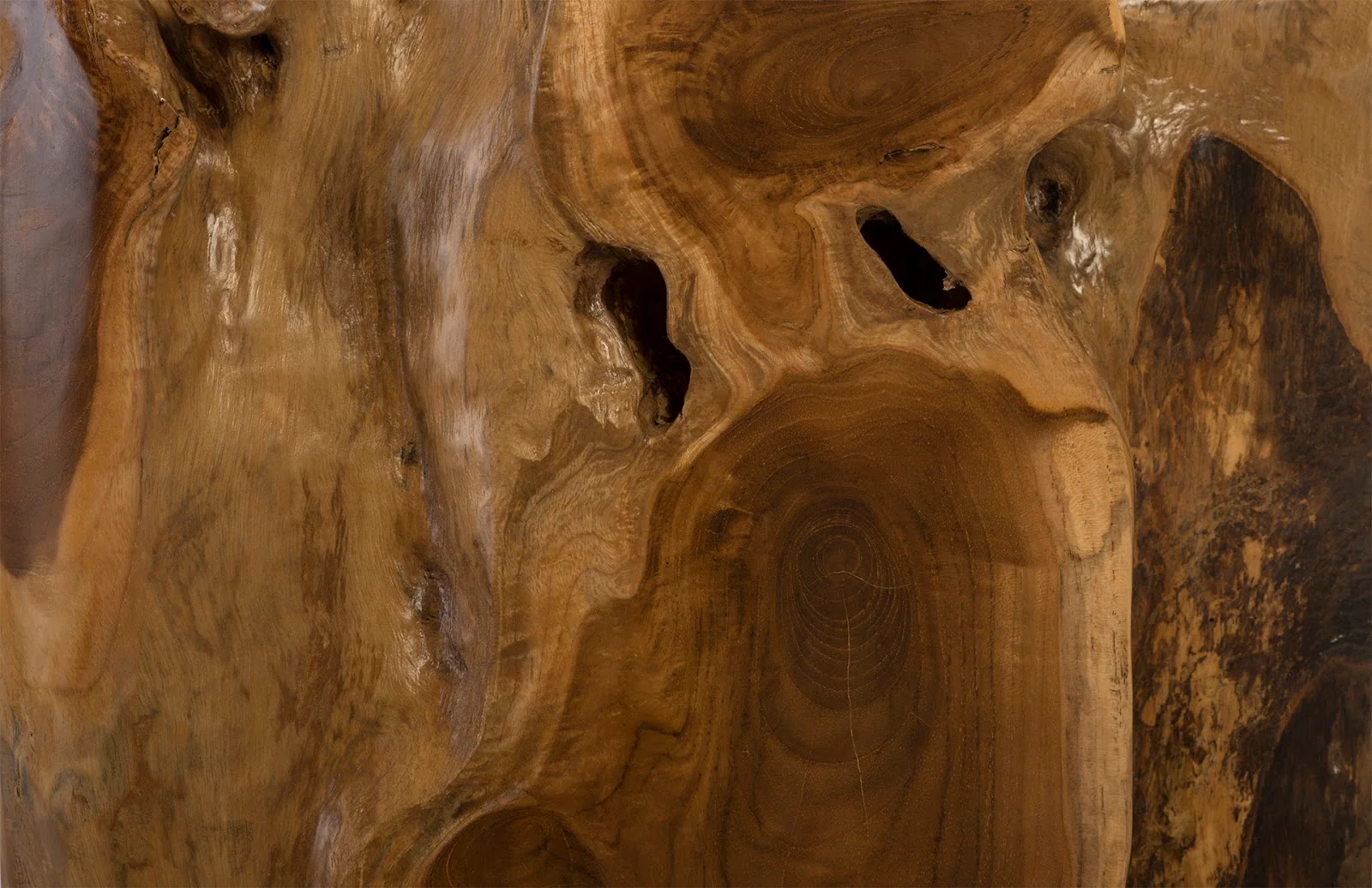 Phillips Collection Teak Root Side Table - Image 3