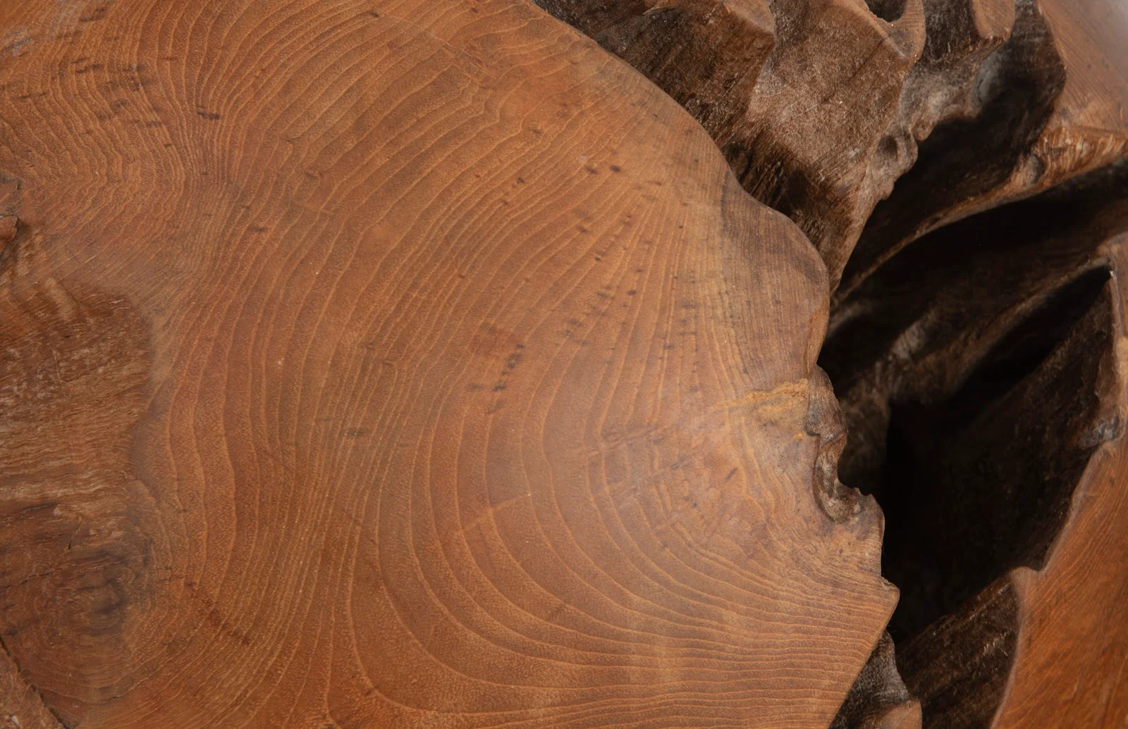 Phillips Collection Teak Wood Ball, Medium - Image 4