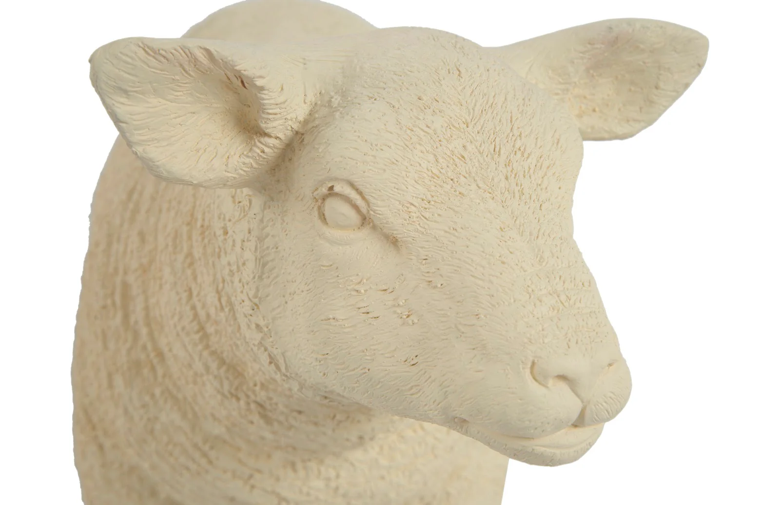 Phillips Collection Texelaar Sheep, Lamb, Cream - Image 3