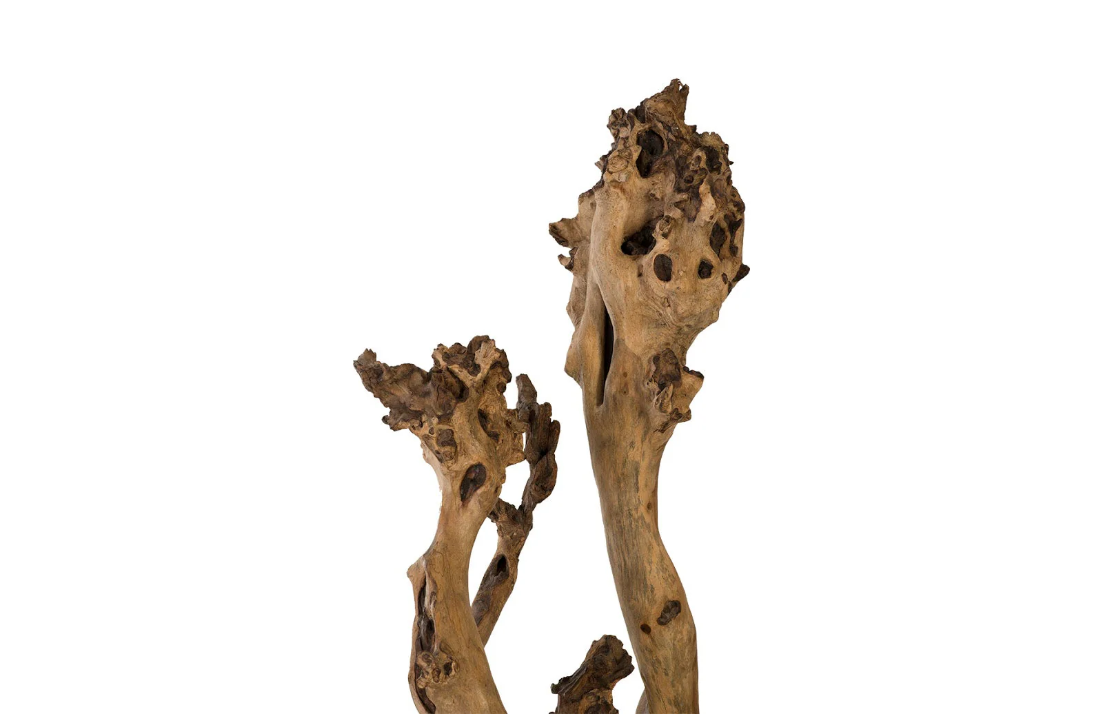 Phillips Collection Wood Sculpture - Image 4