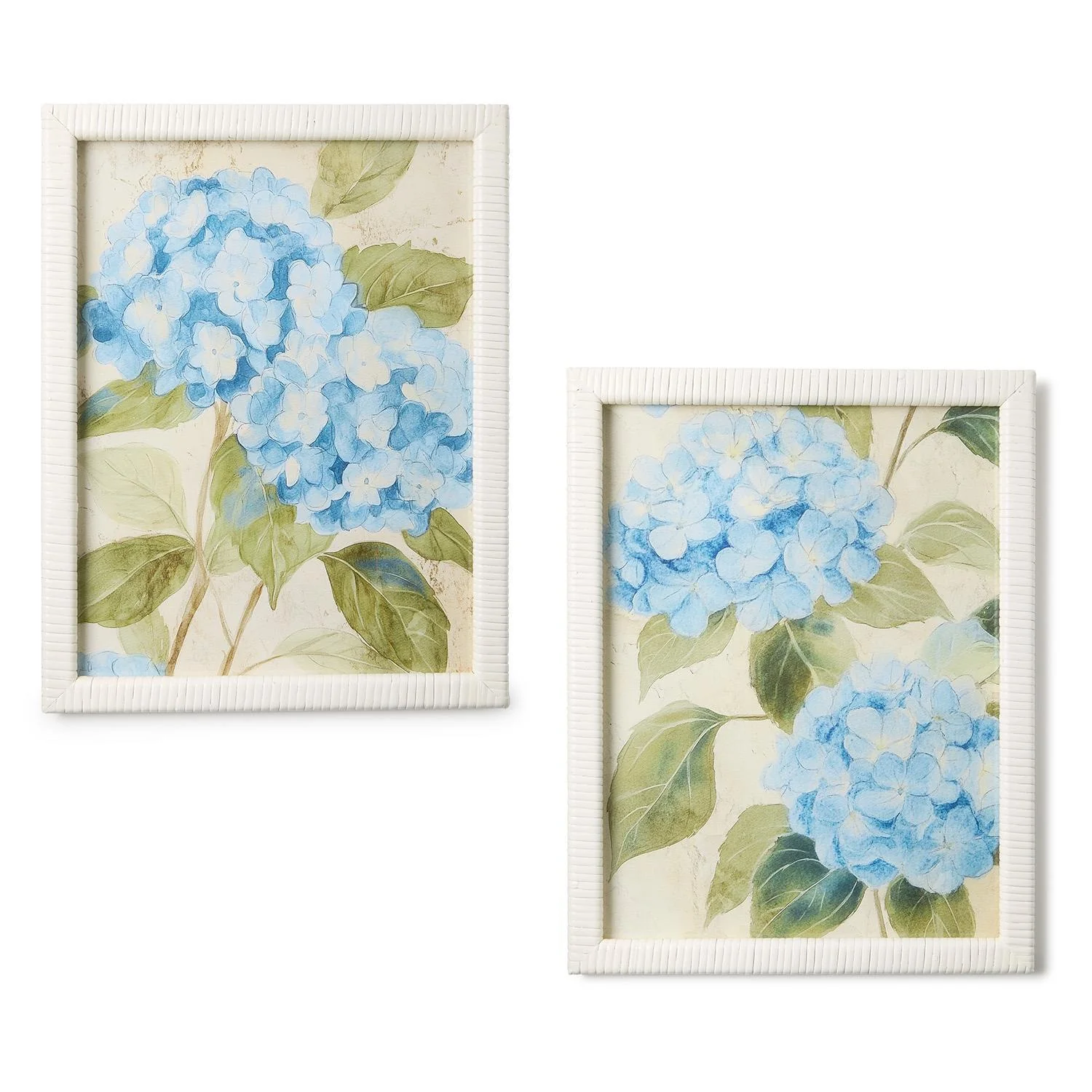 S/2 Hydrangea Framed Wall Art Prints