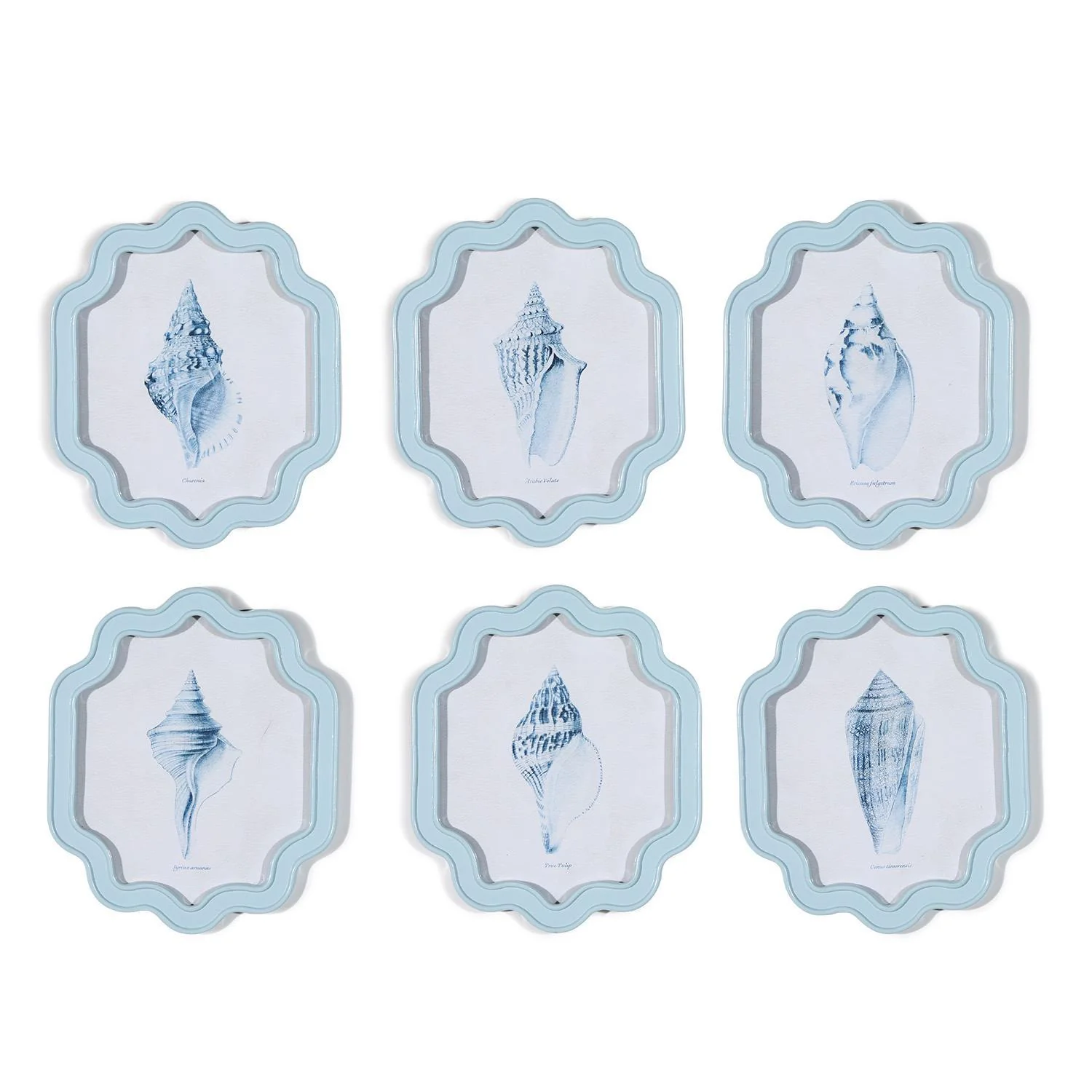 S/6 Shell Wall Art Incl 6 designs