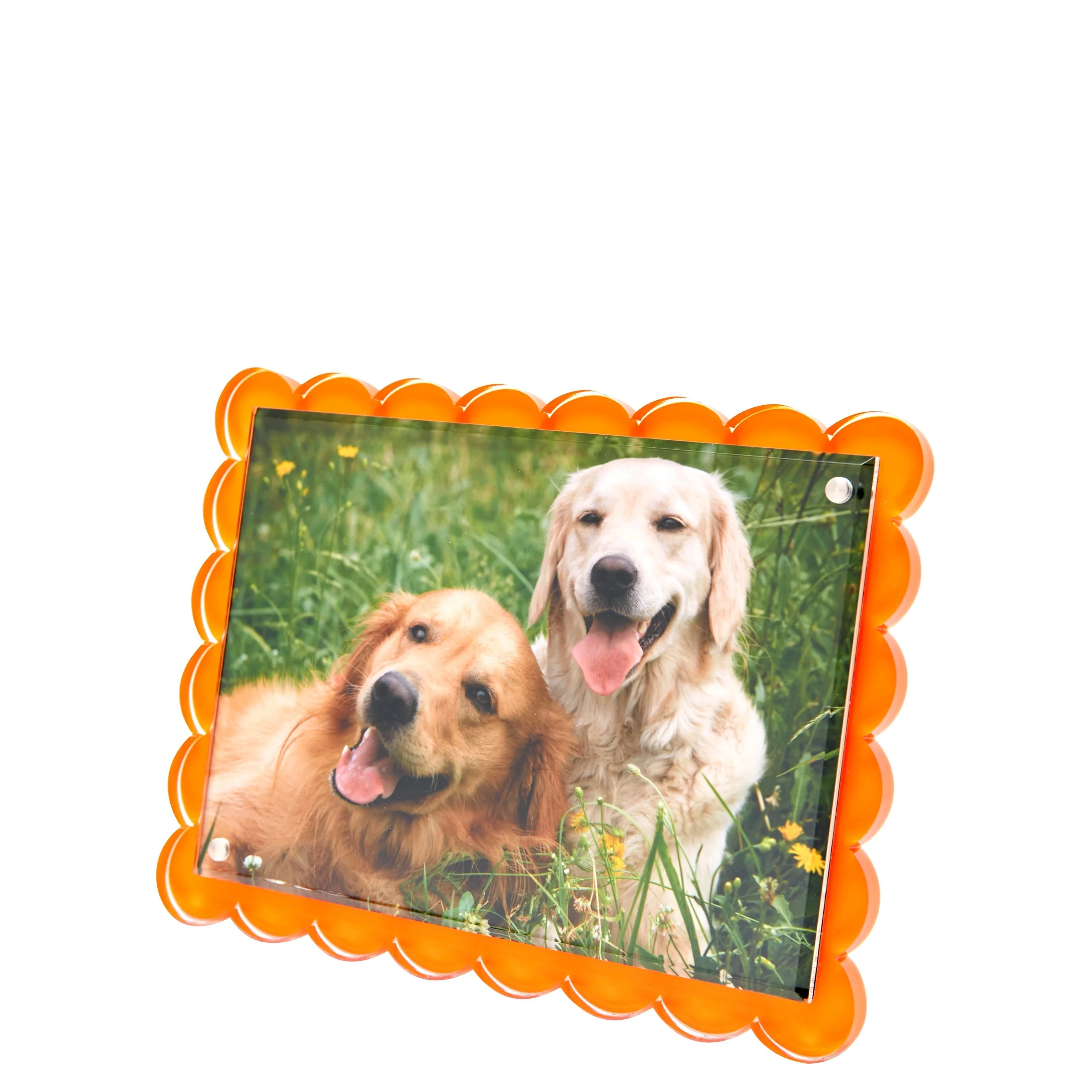 Scallop Frame 5x7 / 4x6 - Orange - Image 2