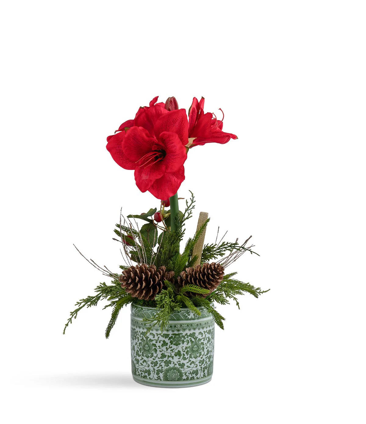 Single Amaryllis in Green Oriental Container Red