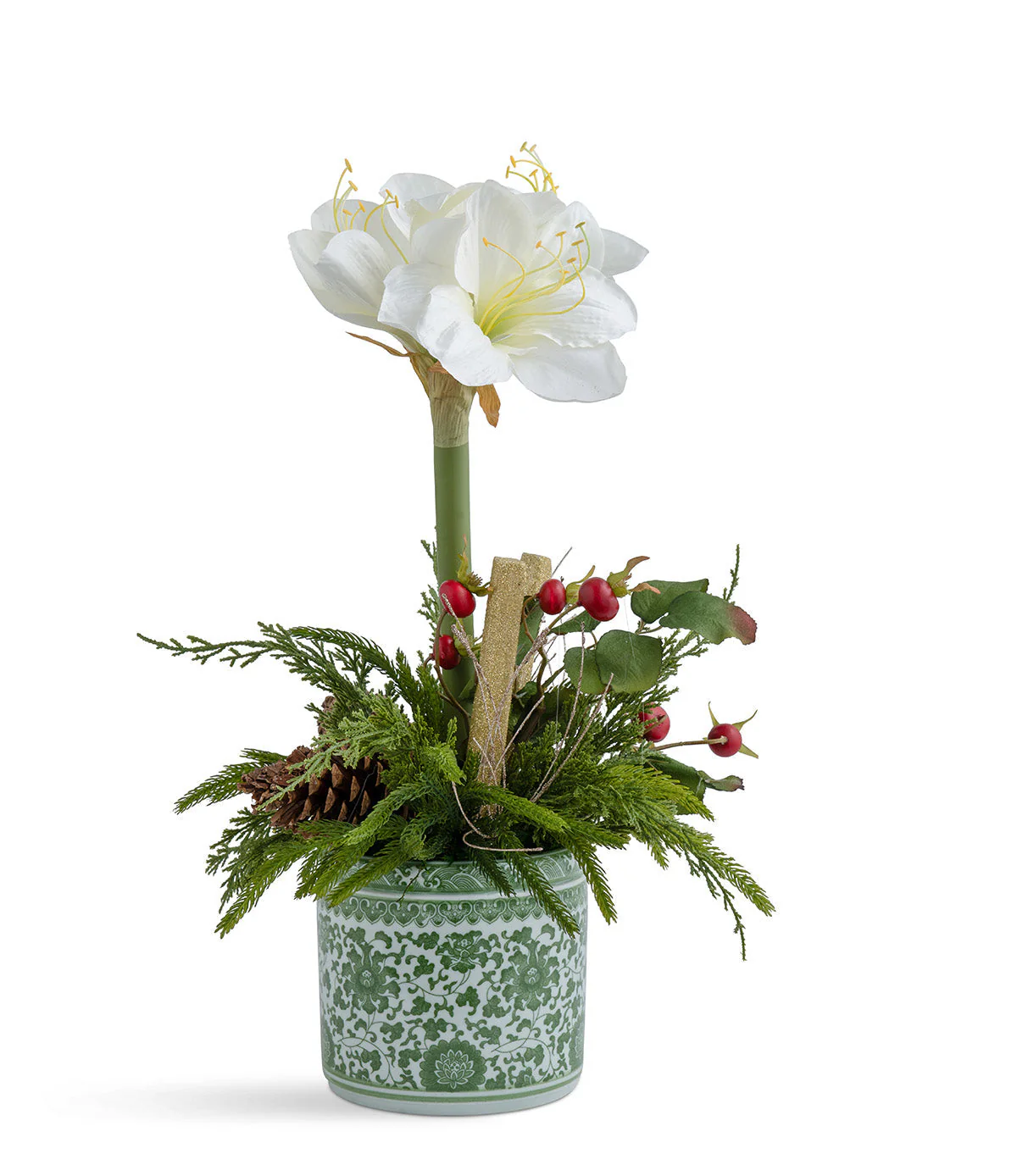 Single Amaryllis in Green Oriental Container White