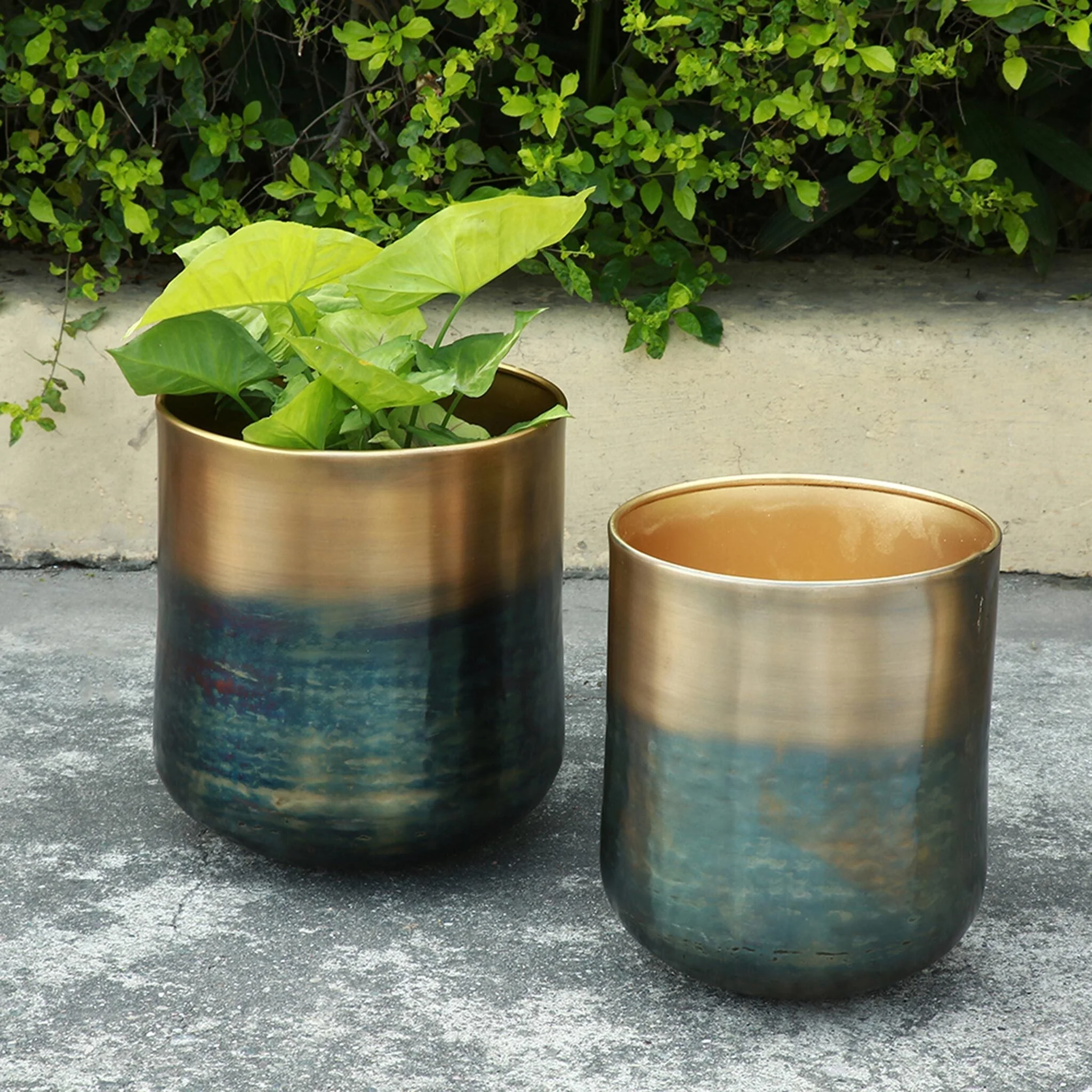 Burnt Brass Finish Planter Holder