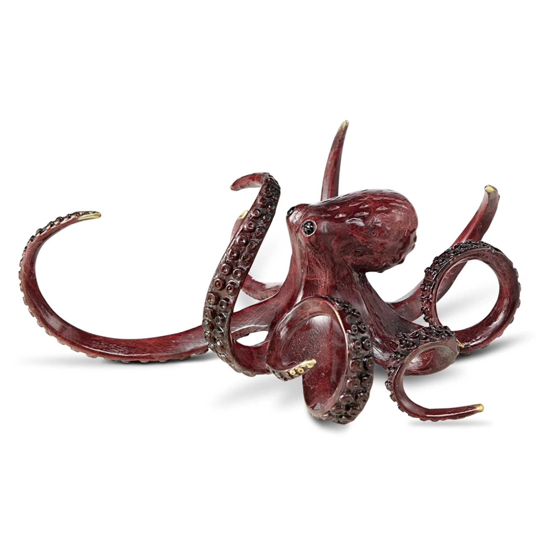 Curious Octopus