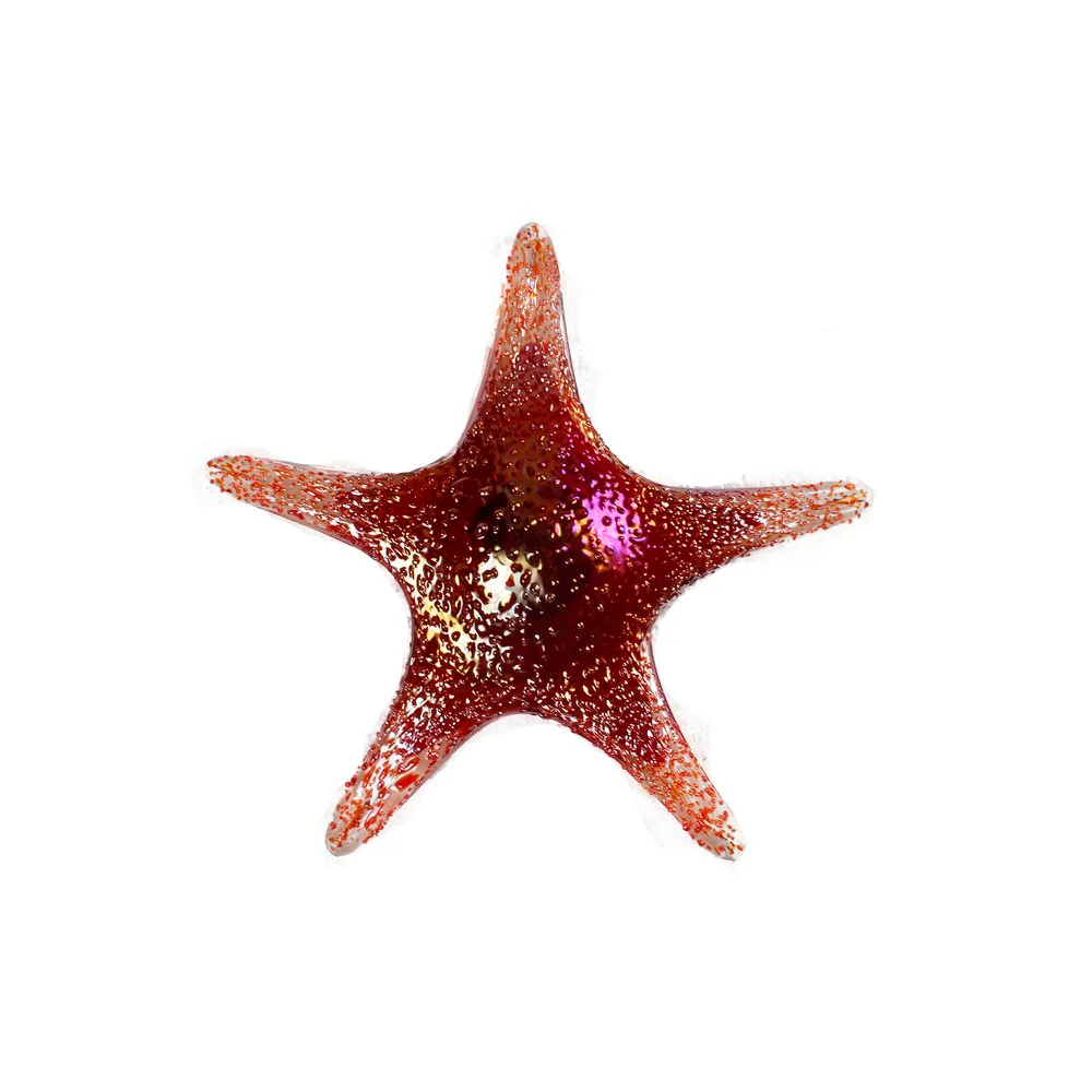 Starfish Wall Art by Viz Glass 7840SIR