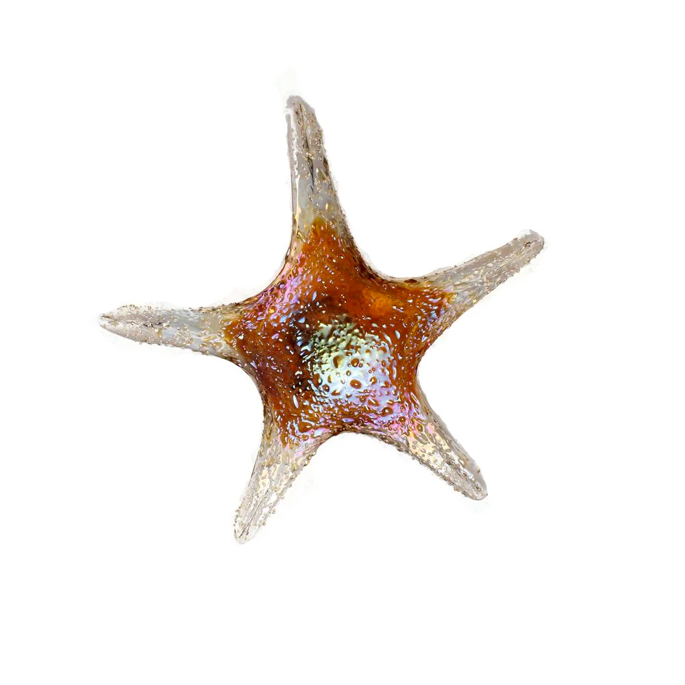 Starfish Wall Art by Viz Glass 7842SIR