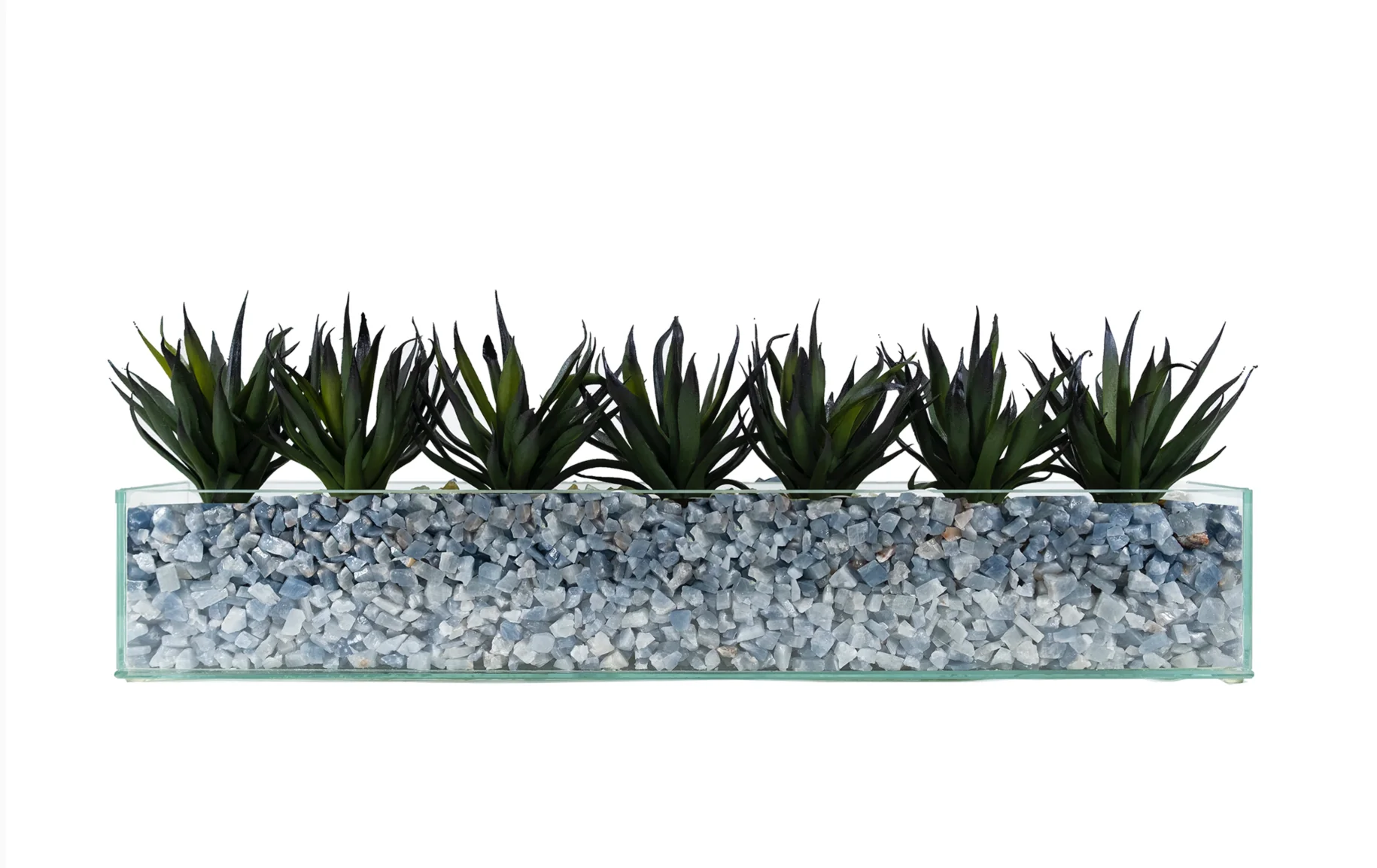 Design Your Own Agave Arrangement