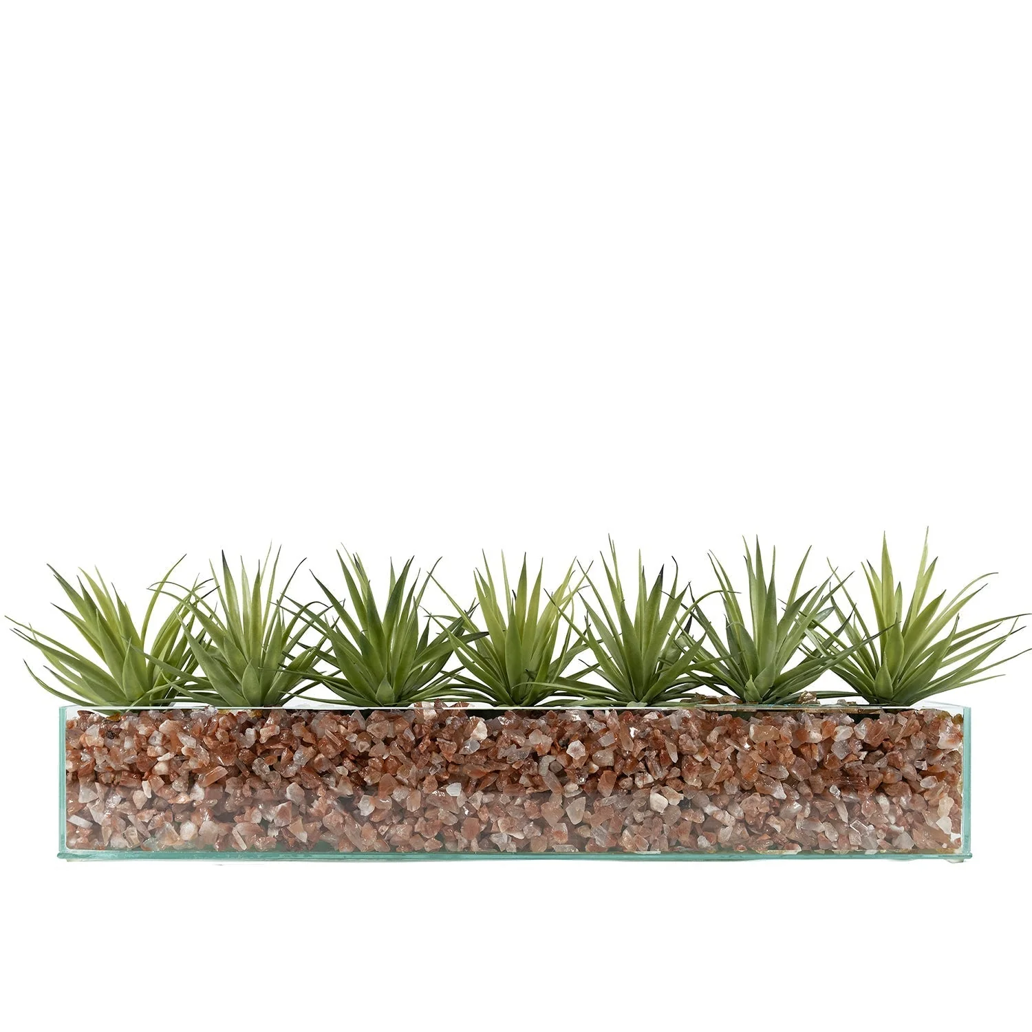 Design Your Own Agave Arrangement - Image 10