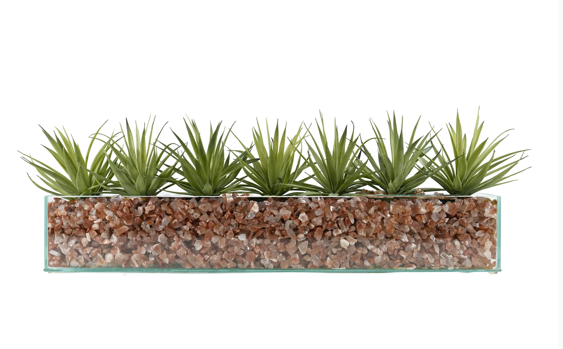 Design Your Own Agave Arrangement - Image 11