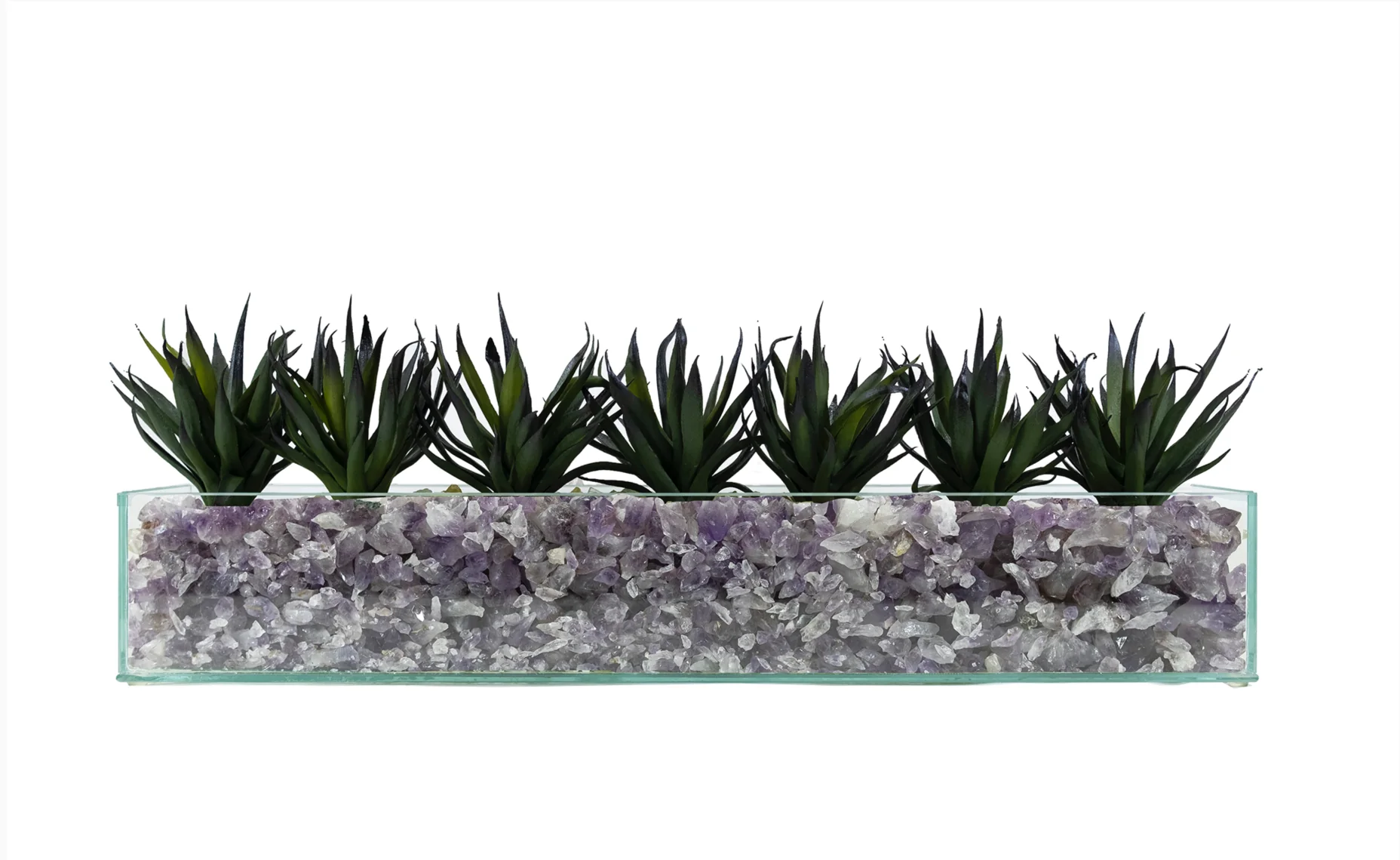 Design Your Own Agave Arrangement - Image 2