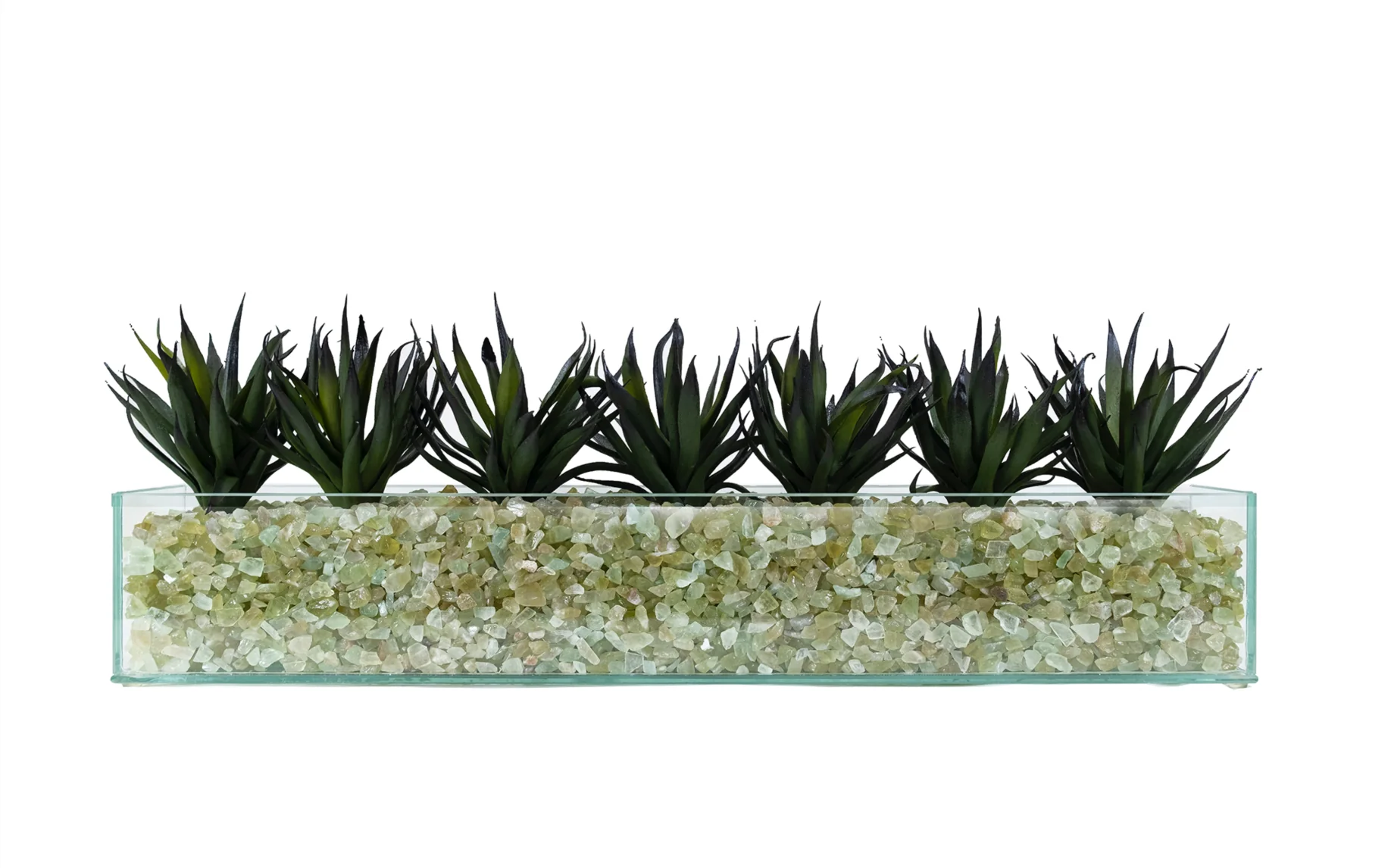Design Your Own Agave Arrangement - Image 3