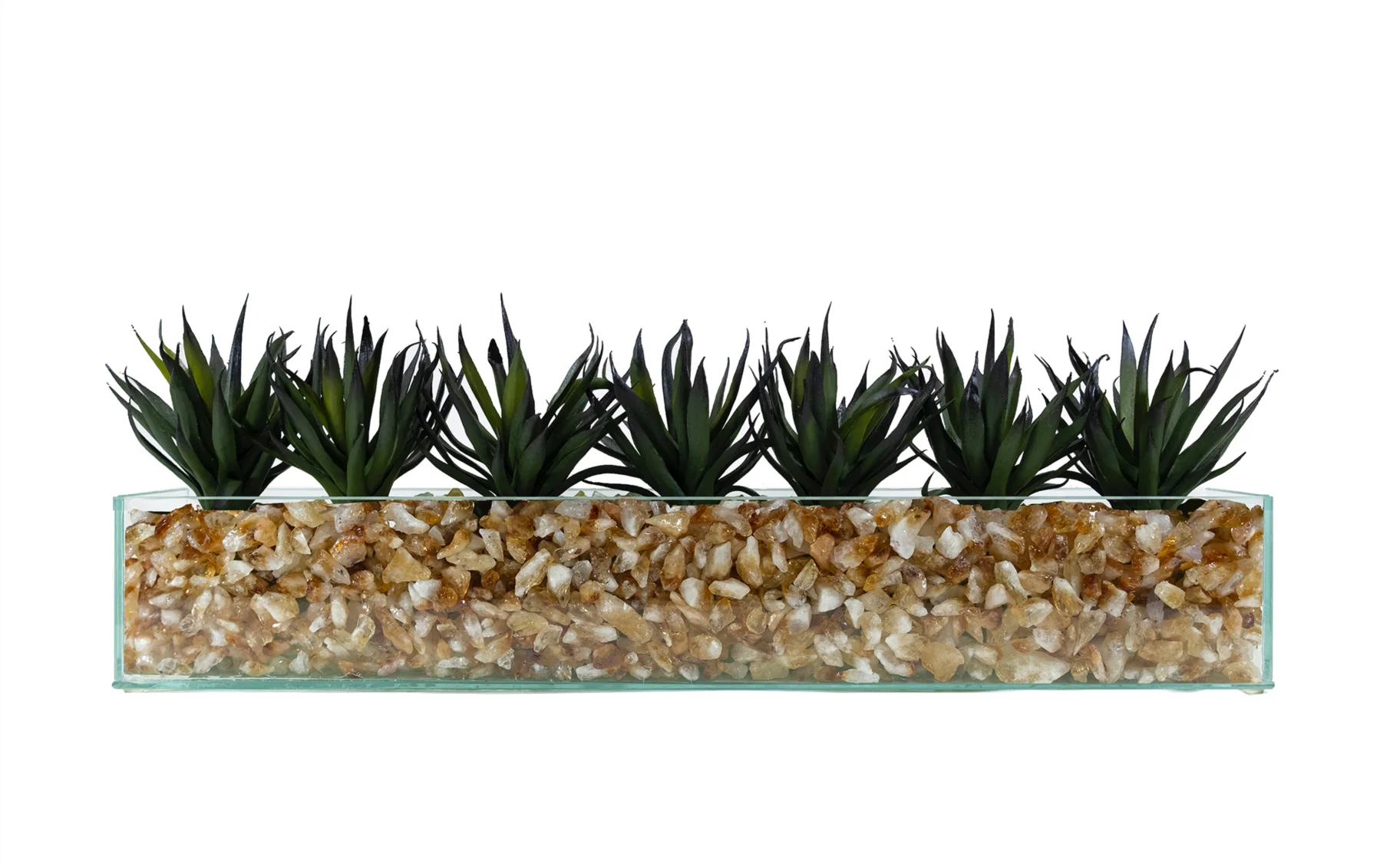 Design Your Own Agave Arrangement - Image 4