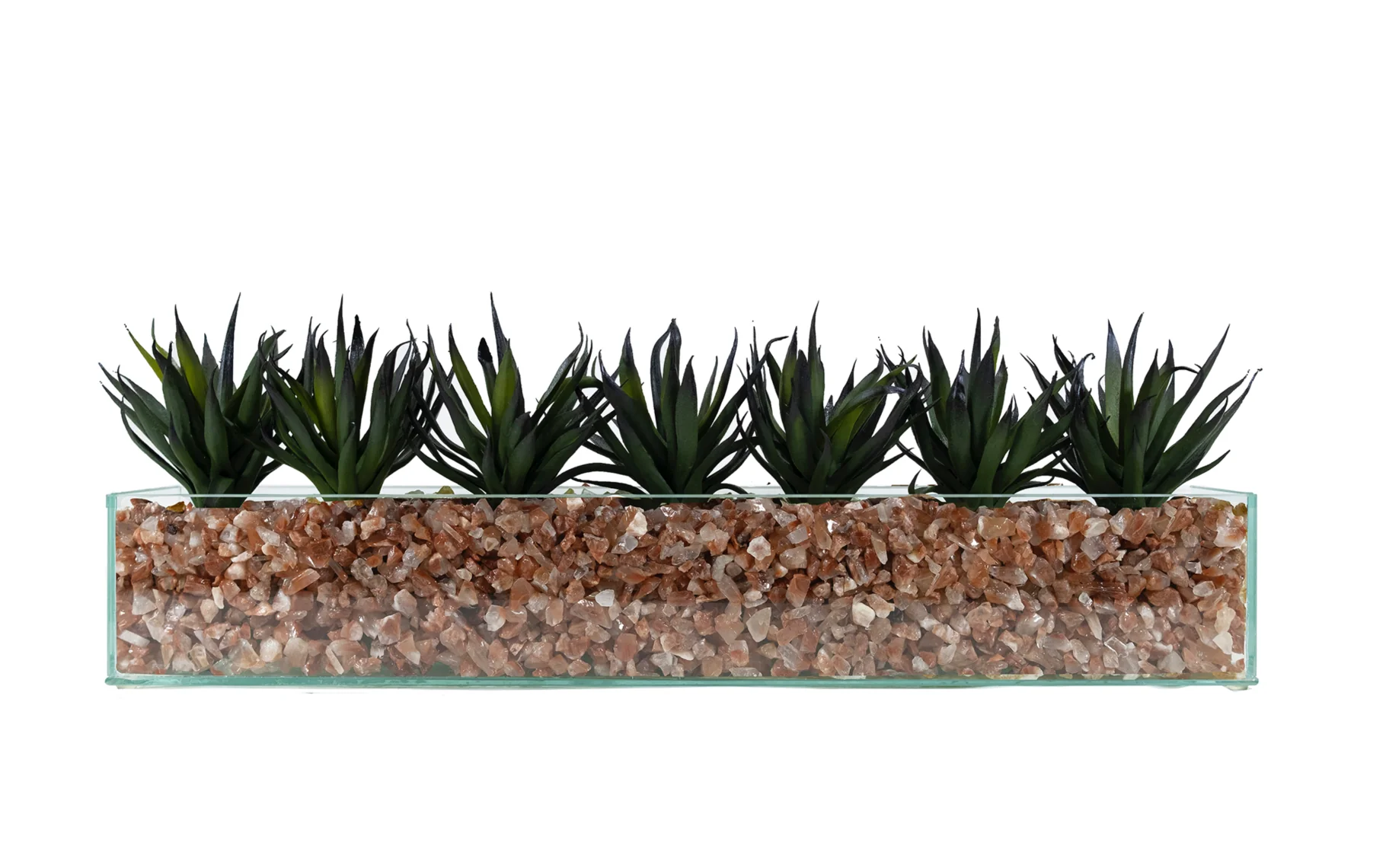 Design Your Own Agave Arrangement - Image 5