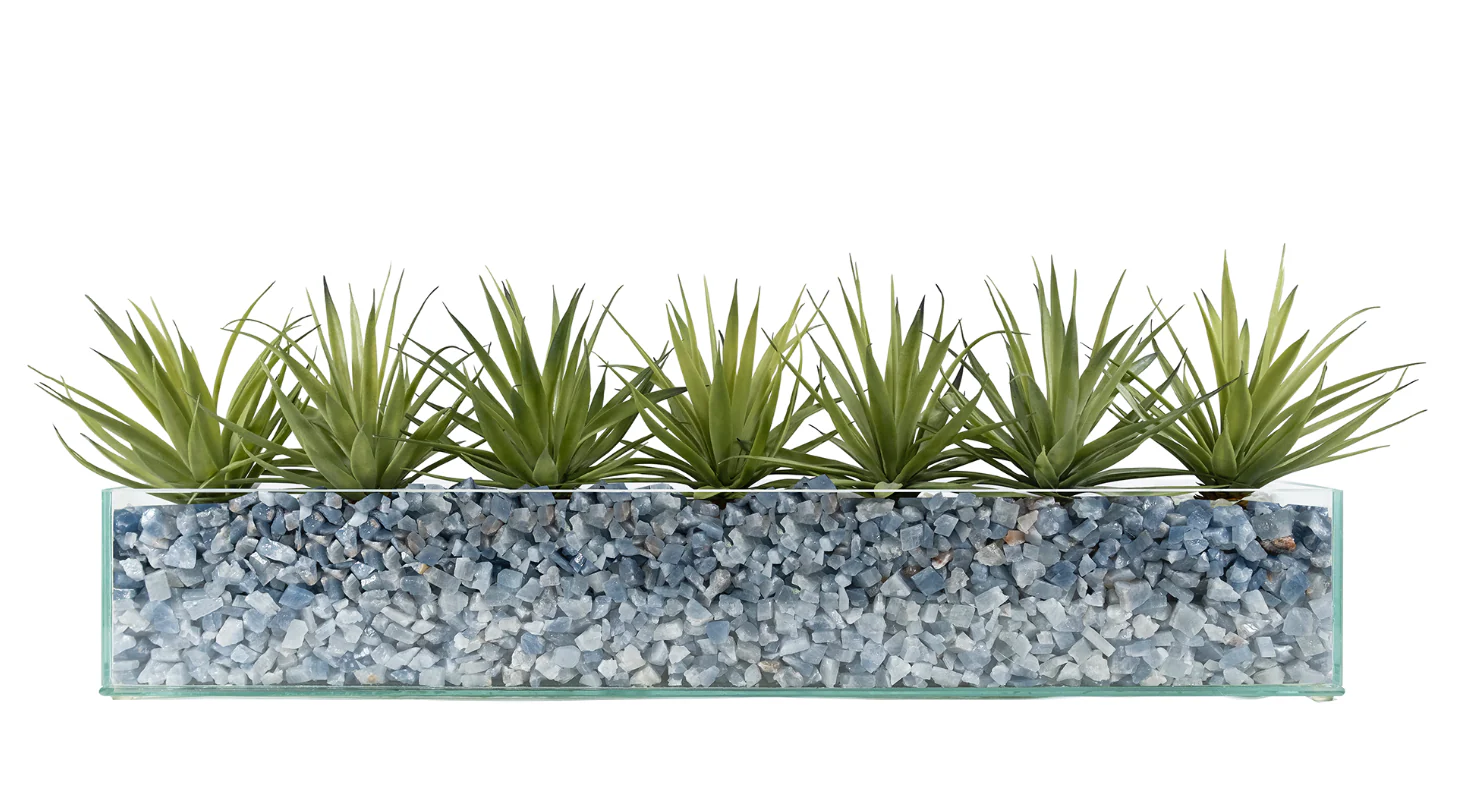 Design Your Own Agave Arrangement - Image 6