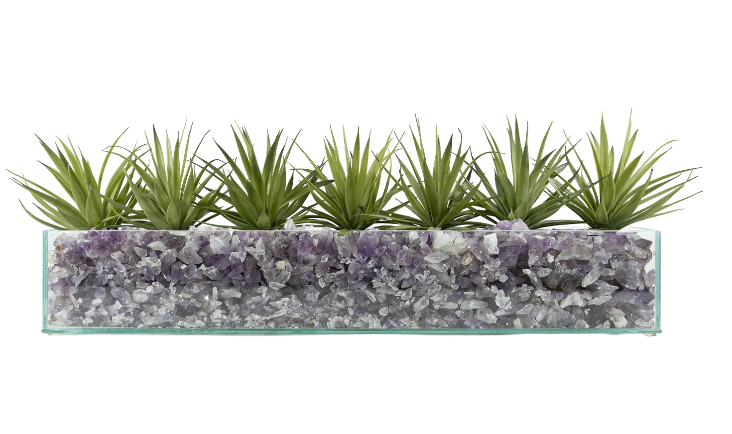 Design Your Own Agave Arrangement - Image 7