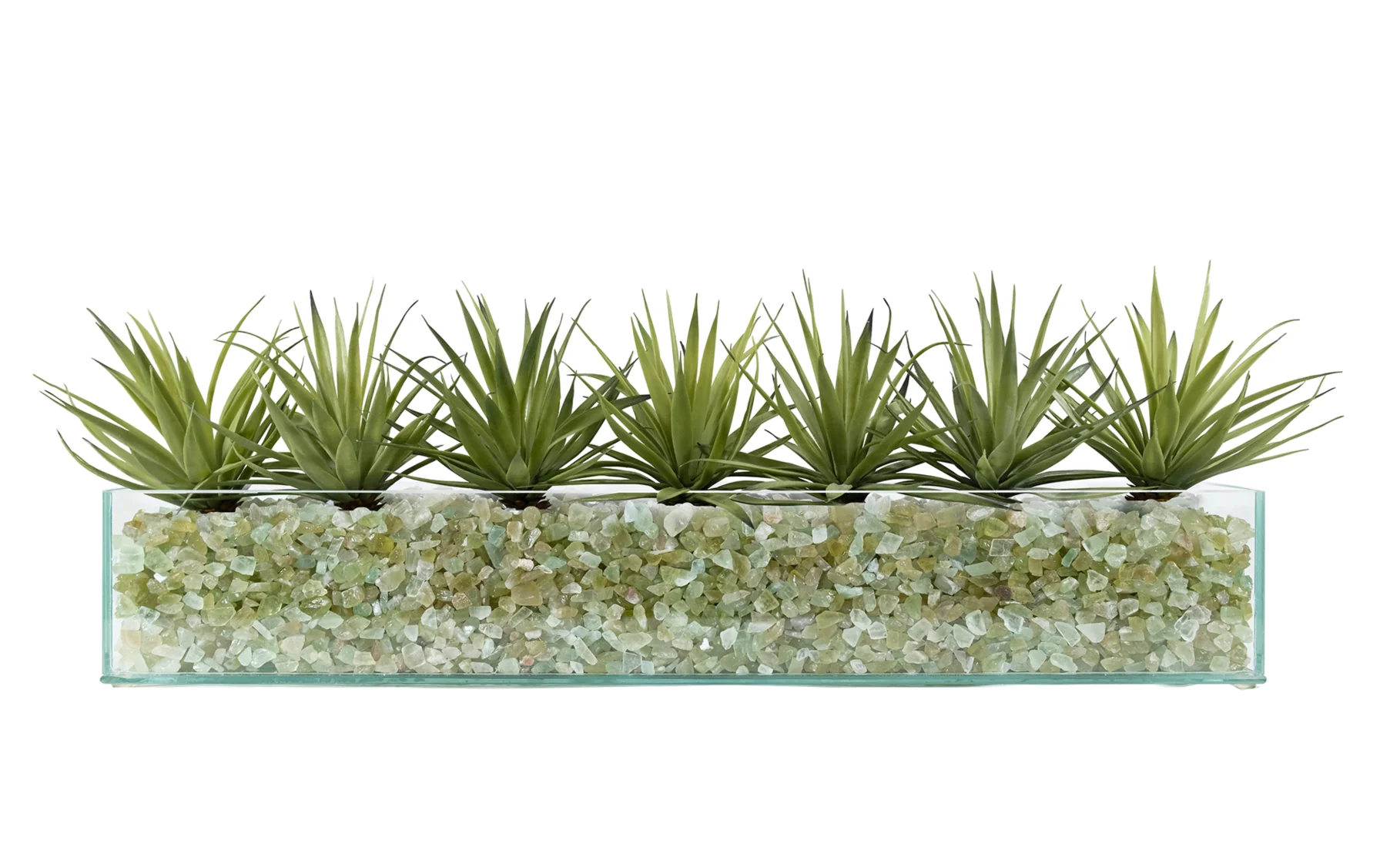 Design Your Own Agave Arrangement - Image 8