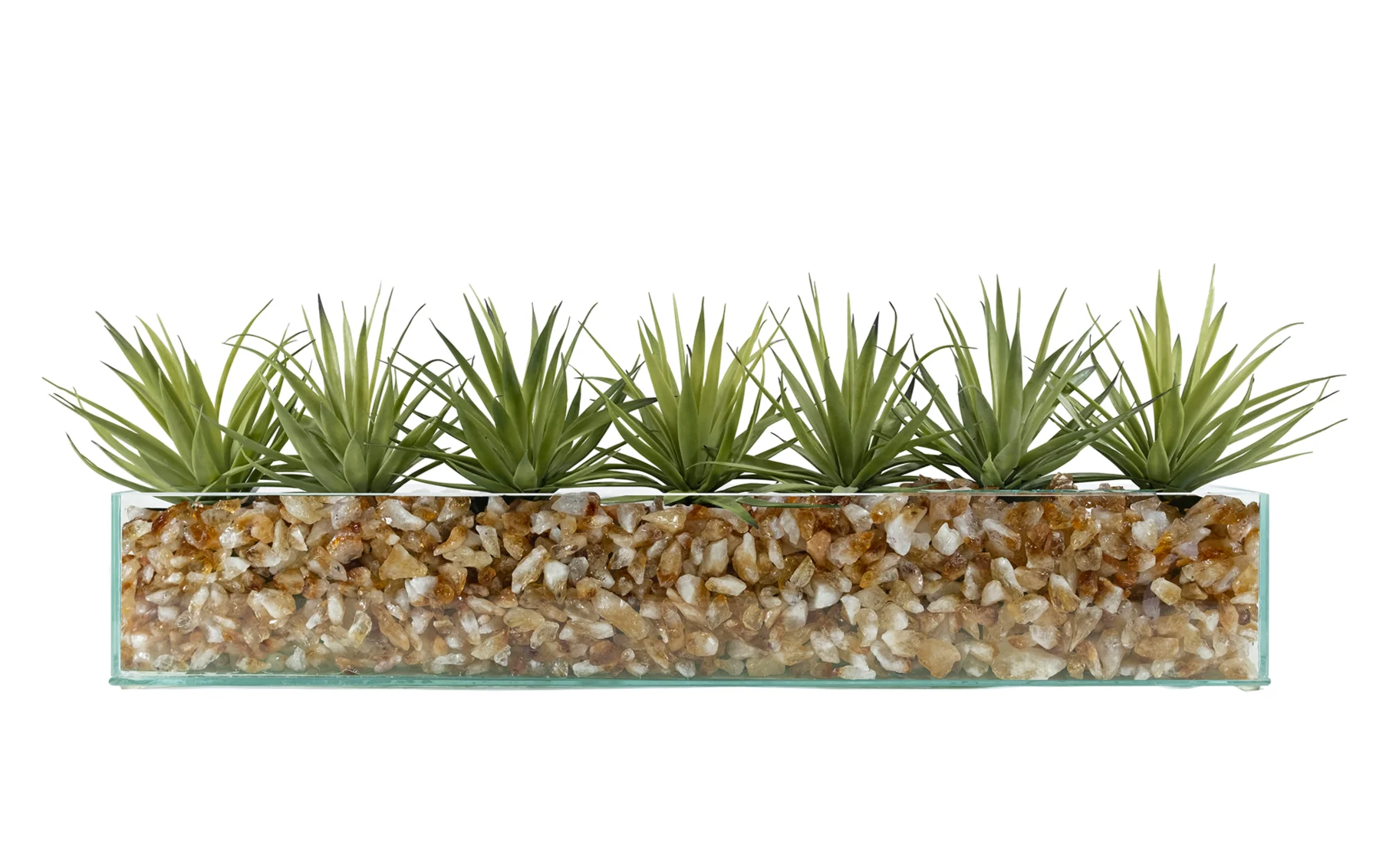 Design Your Own Agave Arrangement - Image 9