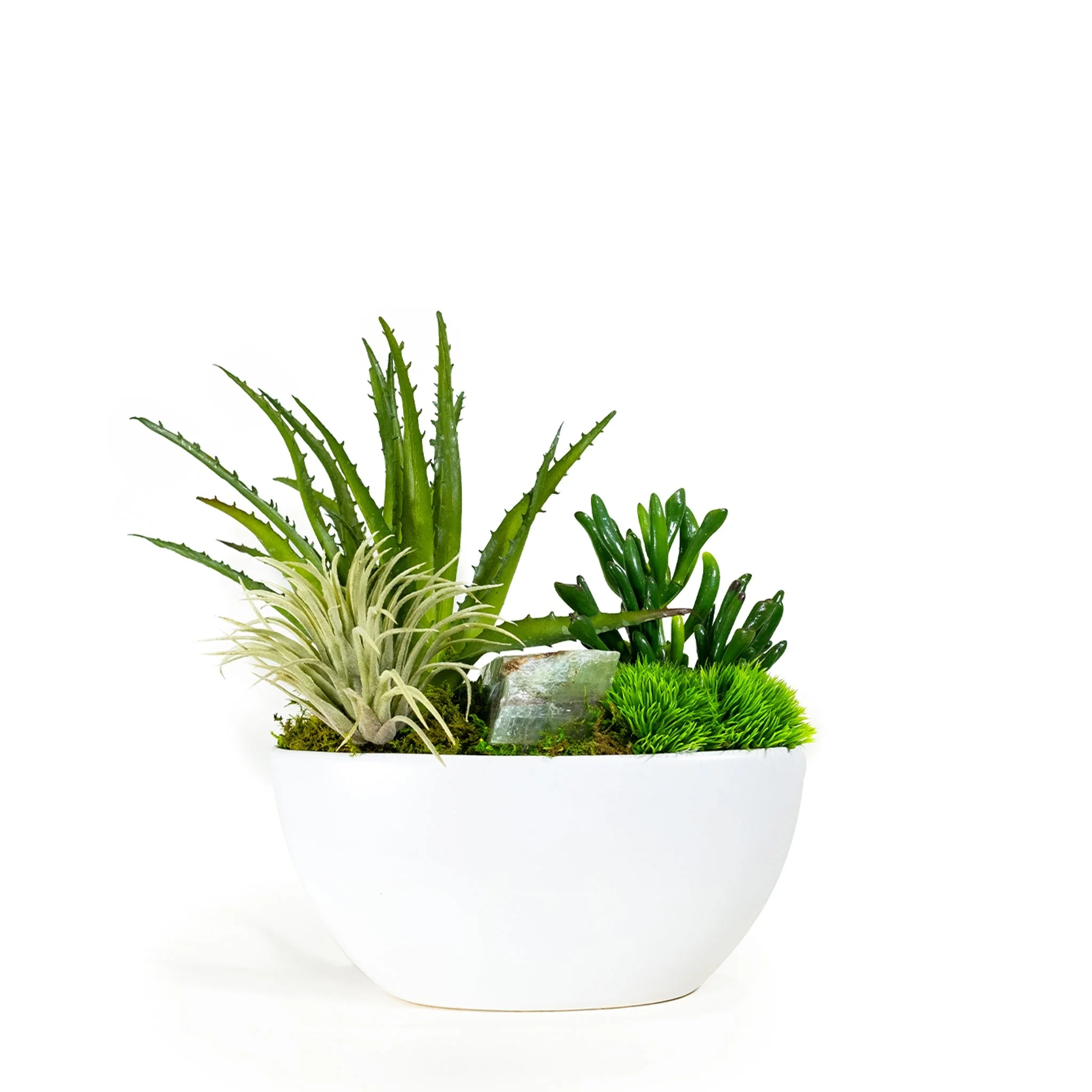 Desktop Succulent Garden with Stone