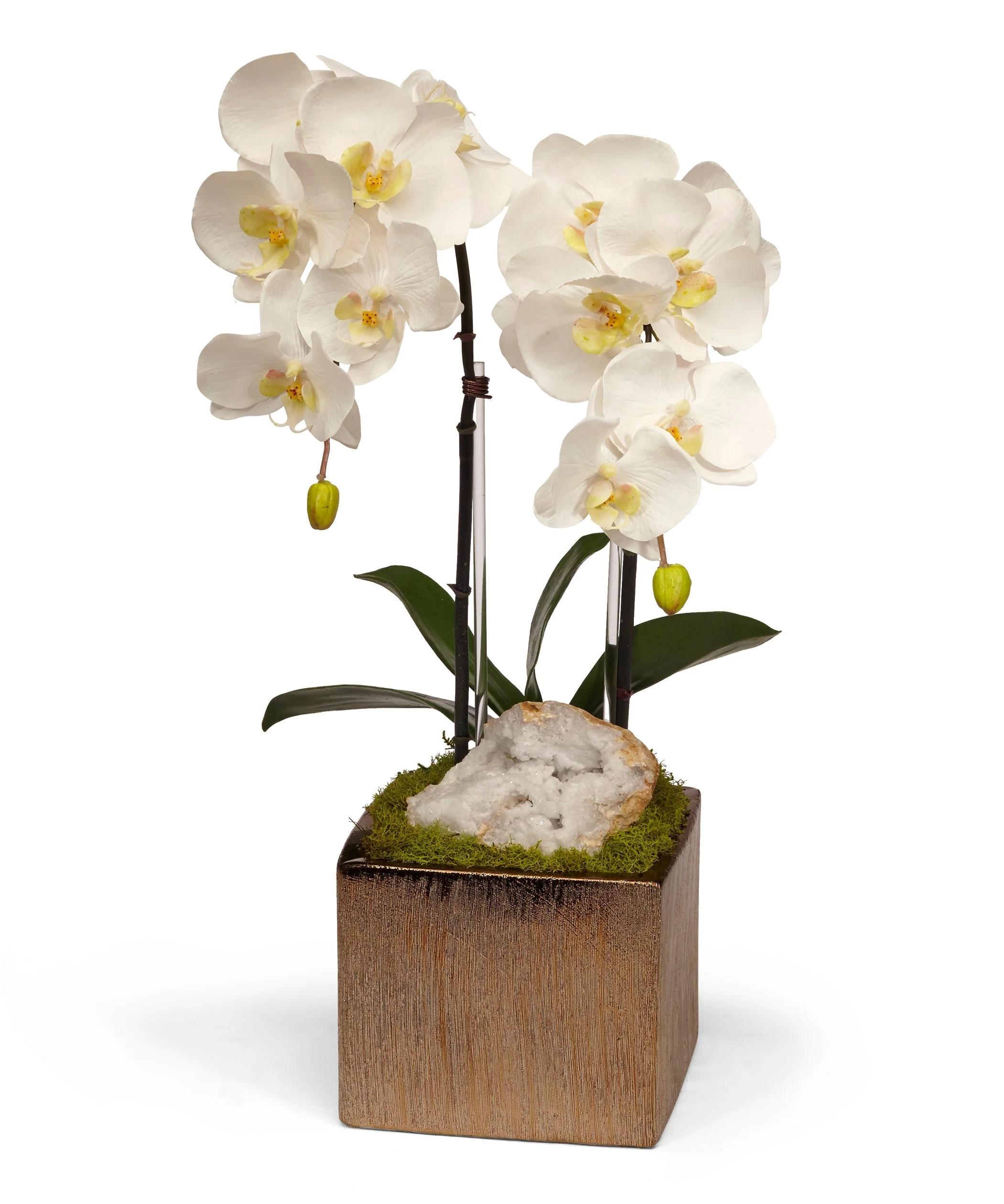 Double Orchid in Bronze Square - Image 3