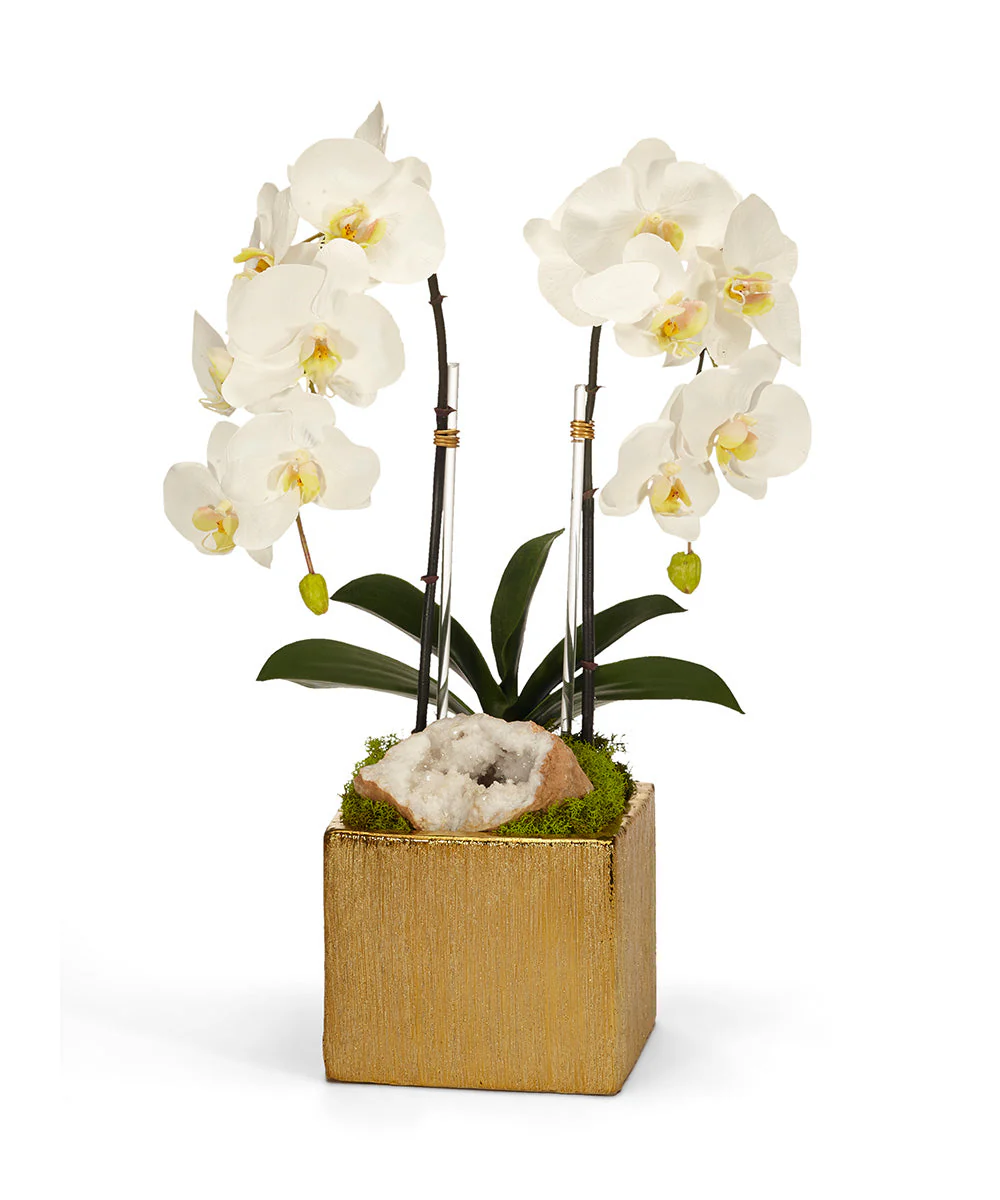 Double Orchid in Gold Square - Image 4