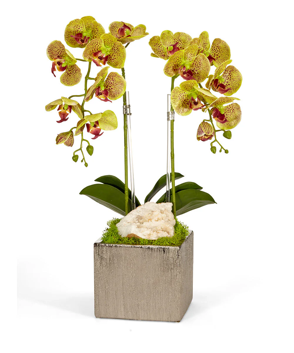 Double Orchid in Silver Square - Image 2