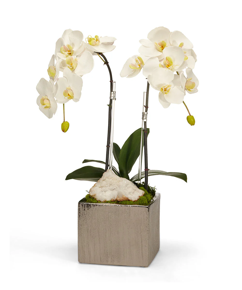 Double Orchid in Silver Square - Image 3